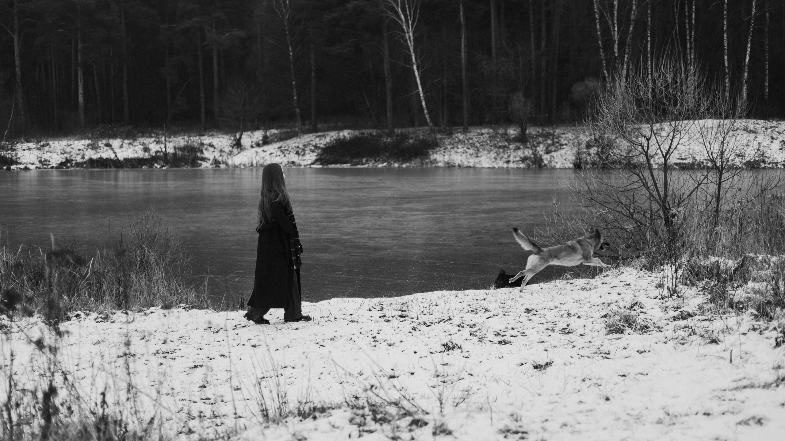 Юля, Лара и Йоми. Фотограф-анималист Богданова Полина