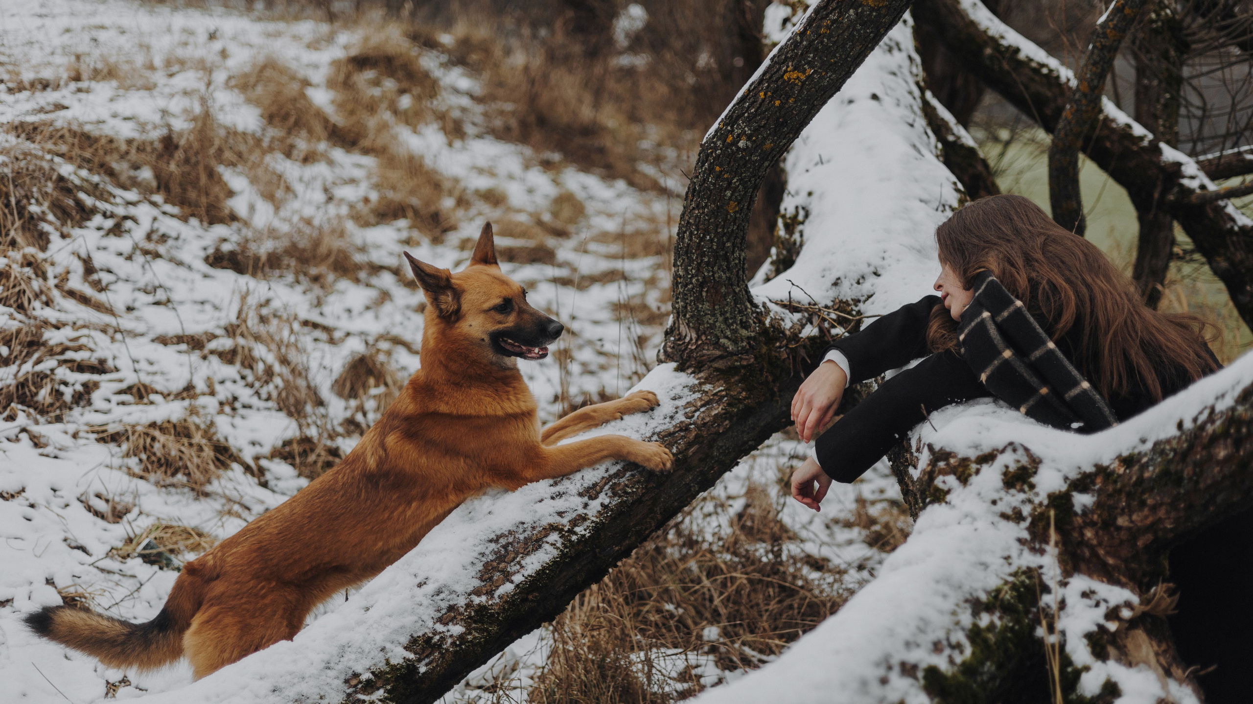 Юля, Лара и Йоми. Фотограф-анималист Богданова Полина