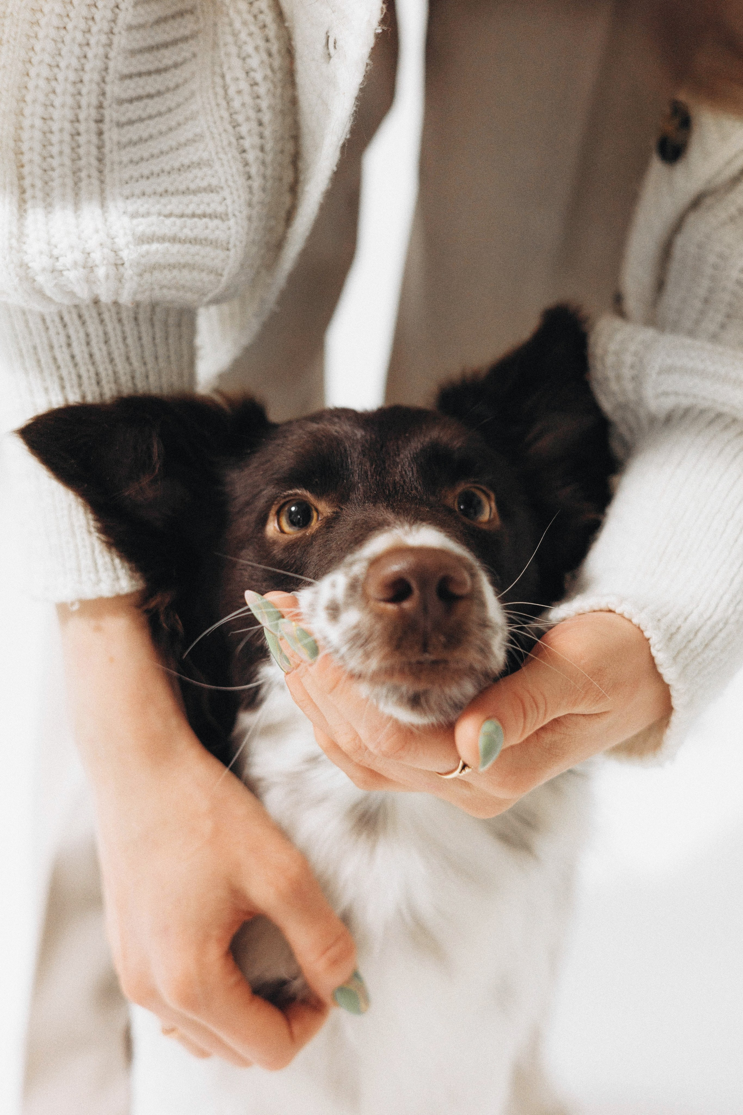 Алена и Гвендолин. Фотограф-анималист Богданова Полина