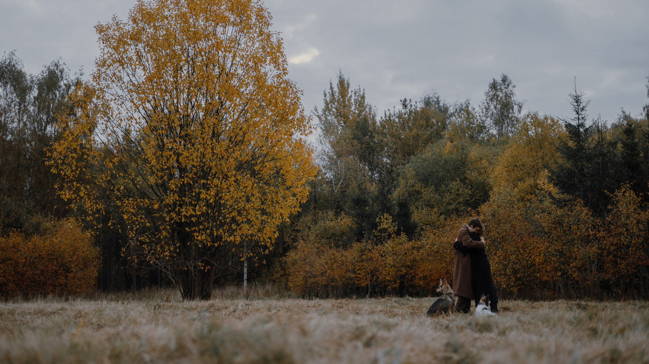 Маша, Катя, Астрид и Мася. Фотограф-анималист Богданова Полина