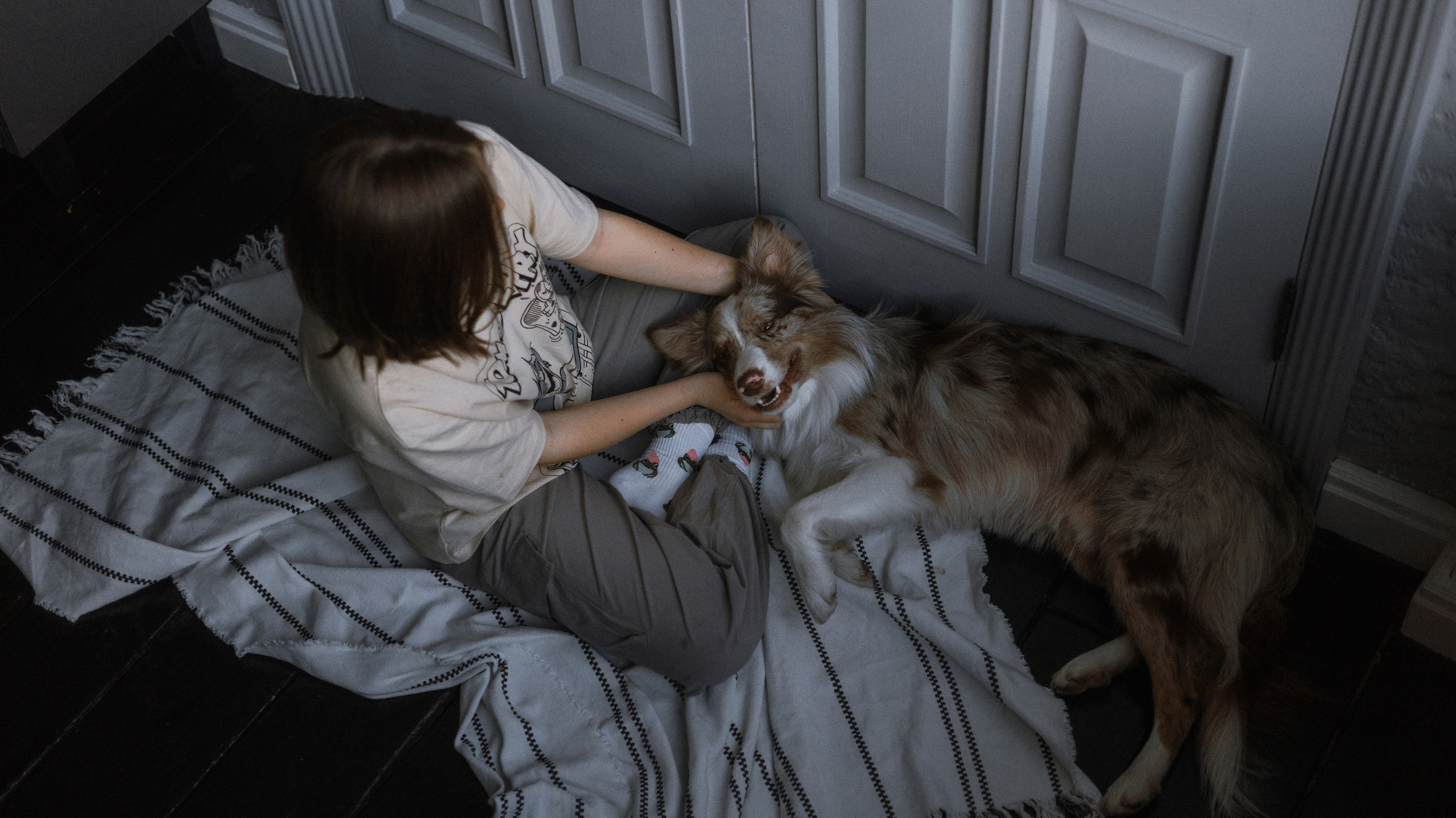 Аня, Дэймон и Грэй. Фотограф-анималист Богданова Полина