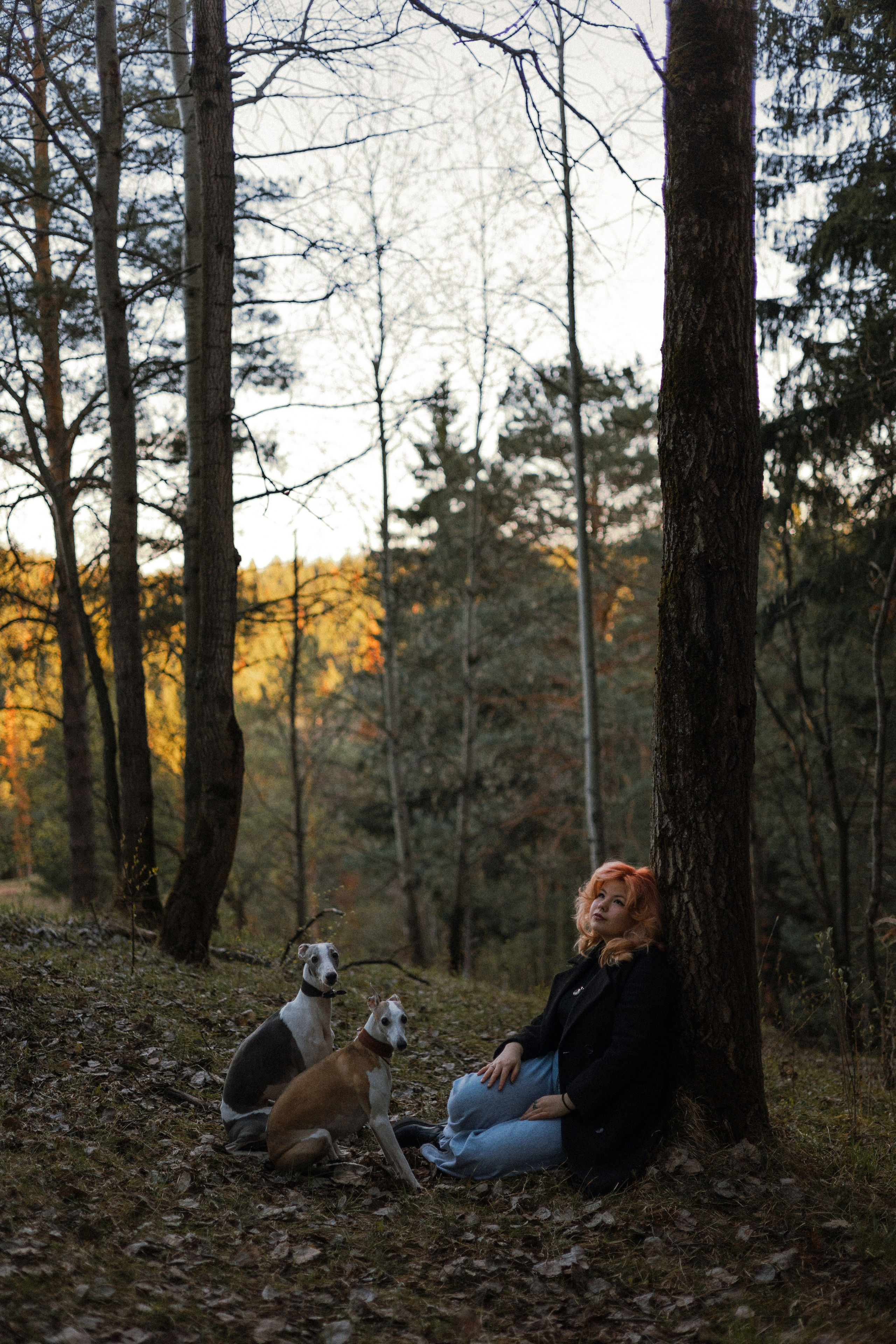 Вика, Джем и Белла. Фотограф-анималист Богданова Полина
