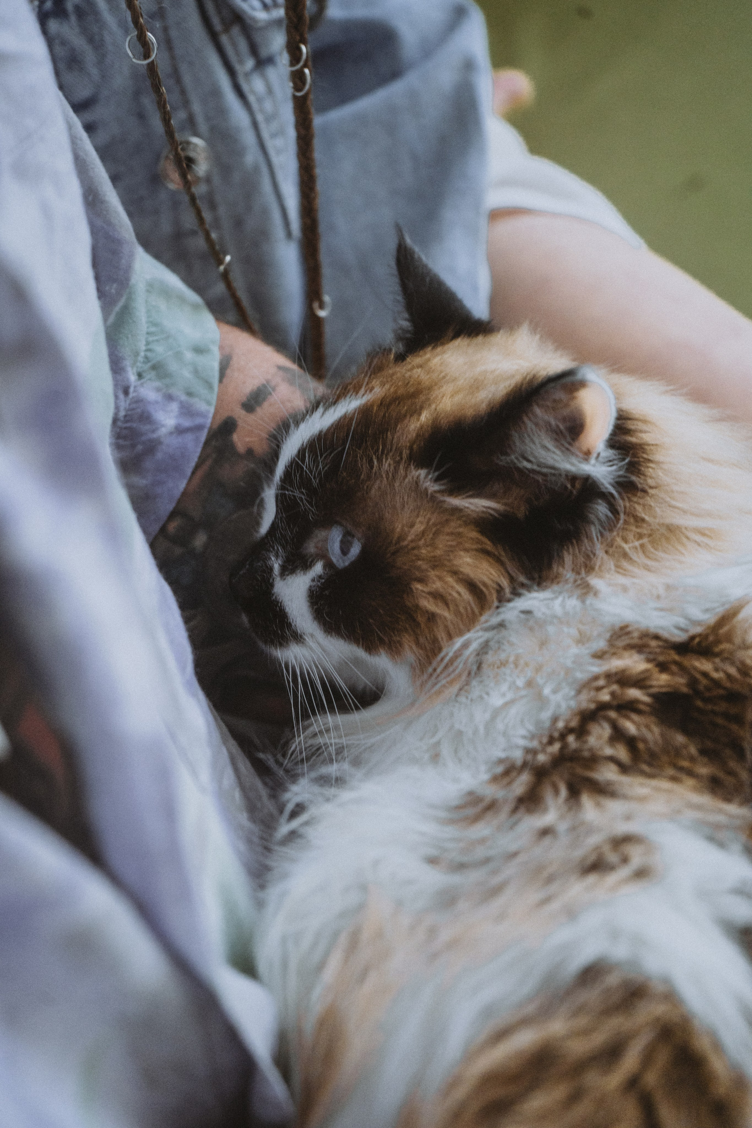 Alena & Sergey. Стильный фотограф Екатеринбурга Veber Anastasia