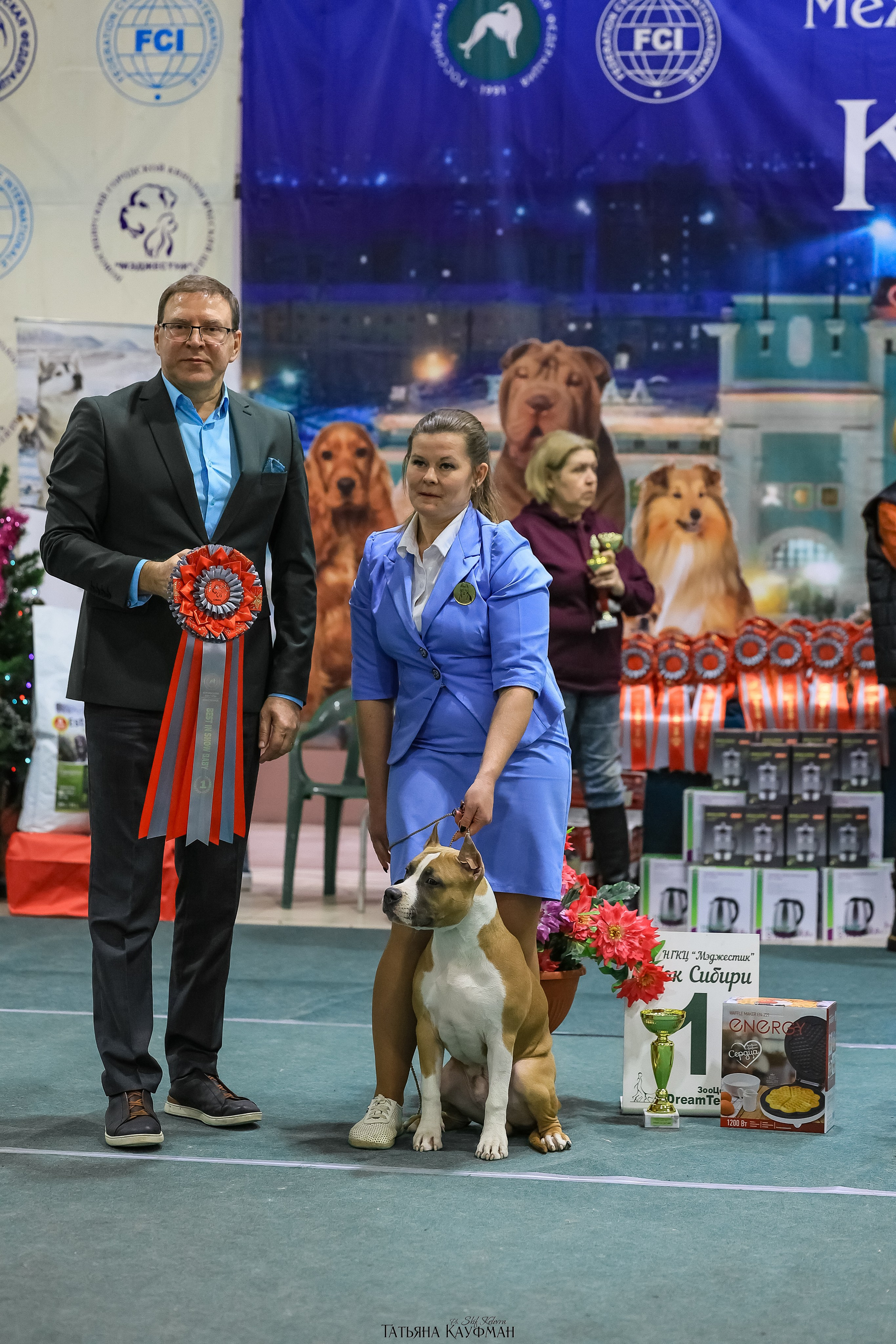 6-7.12.25 — 1-4 Национальные выставки собак в Новосибирске (2х рейтинговые). Фотограф Анималист из Новосибирска Татьяна Кауфман