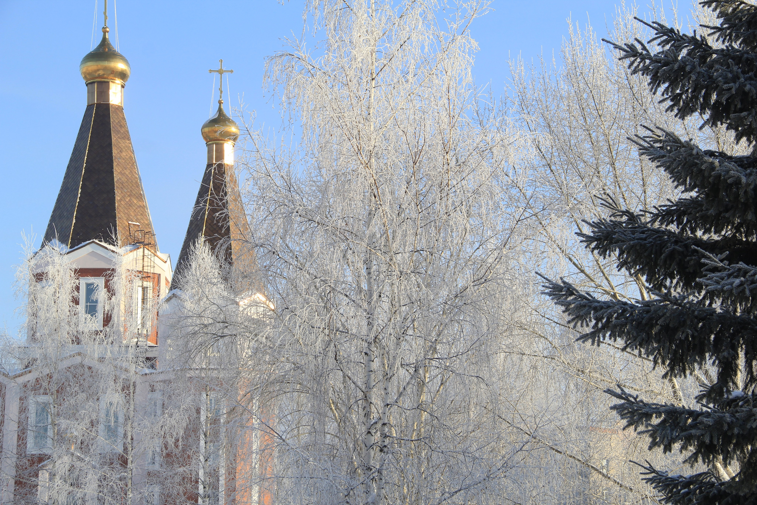 Зима. Ваш фотограф Северск | Томск