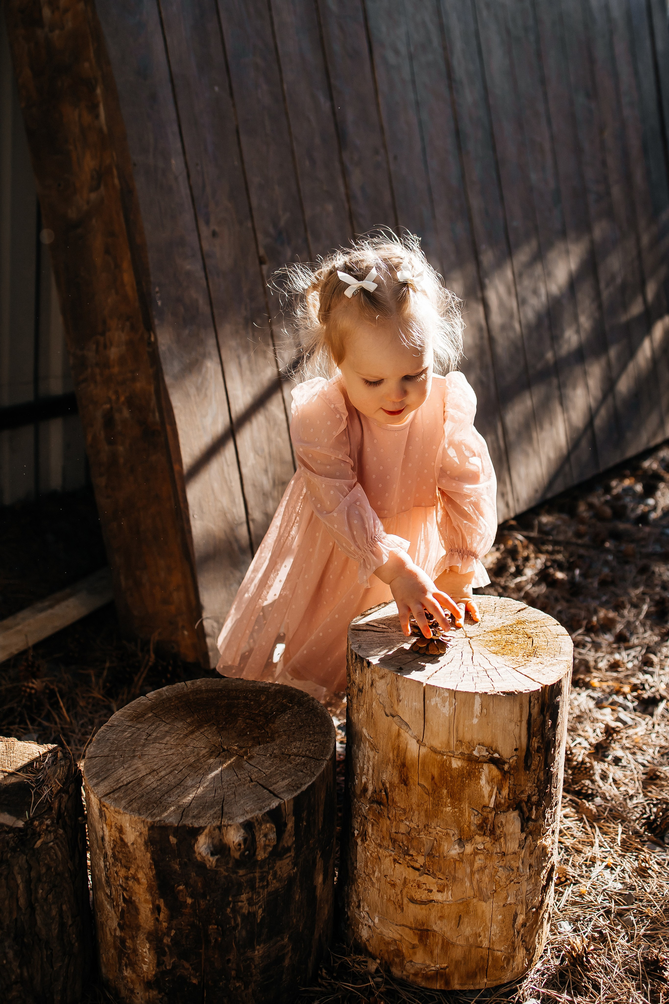 Наташа, Андрей и Тасечка. Свадебный и семейный фотограф в Ростове-на-Дону