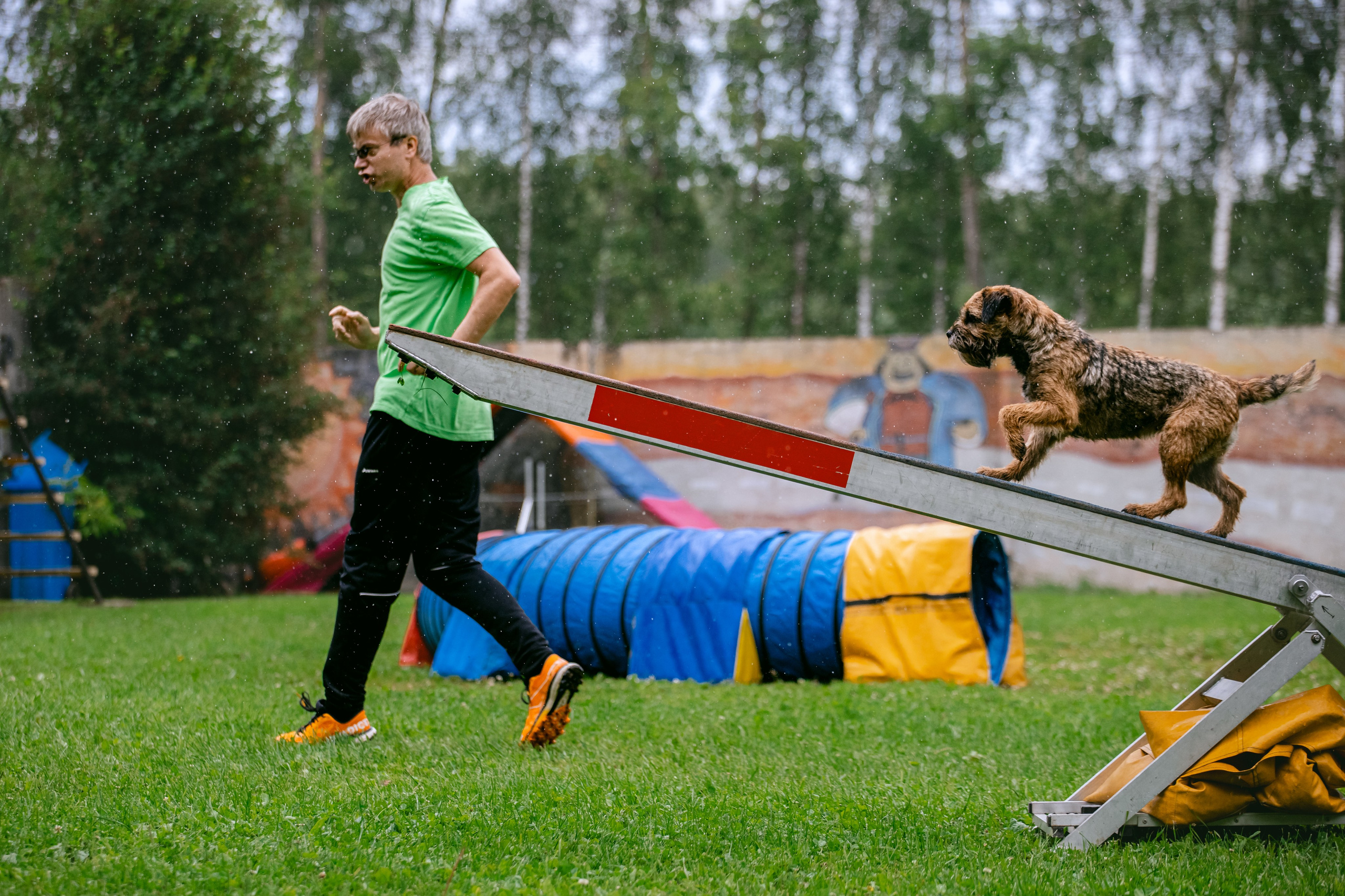 Соревнования по аджилити Долгопрудный 30.06.2025. Фотограф-анималист Татьяна Степанова