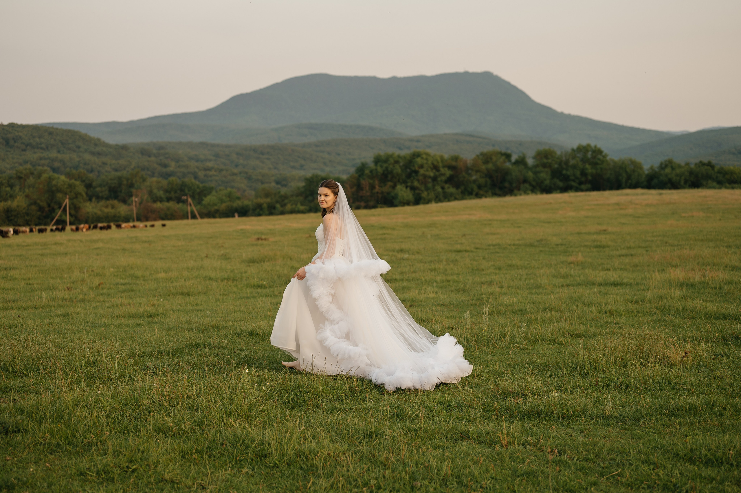 Свадебная съёмка в горах. Свадебный и семейный фотограф в Краснодаре Алина Мельник