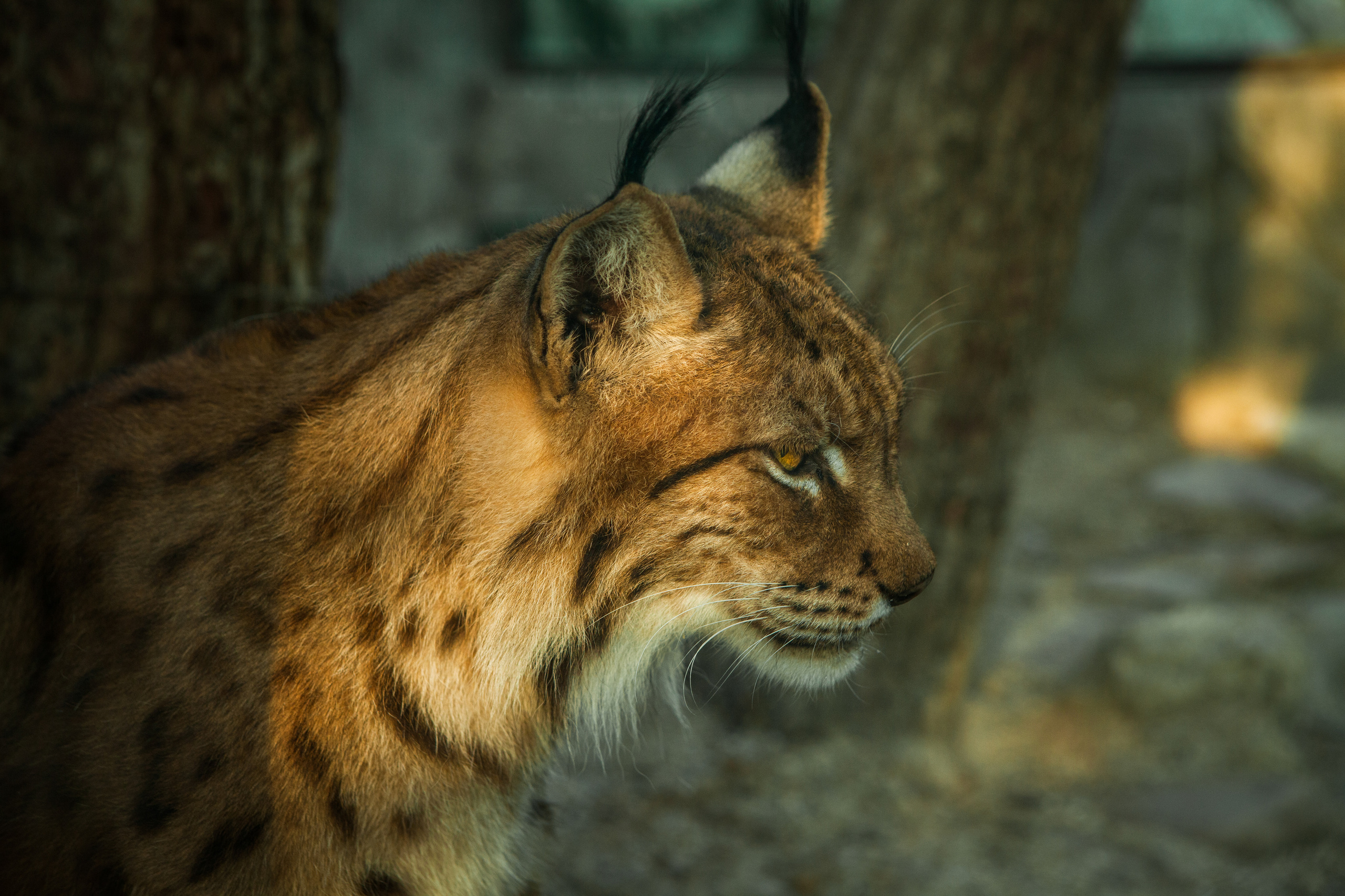 Fotógrafo: Alexander Grigoryan