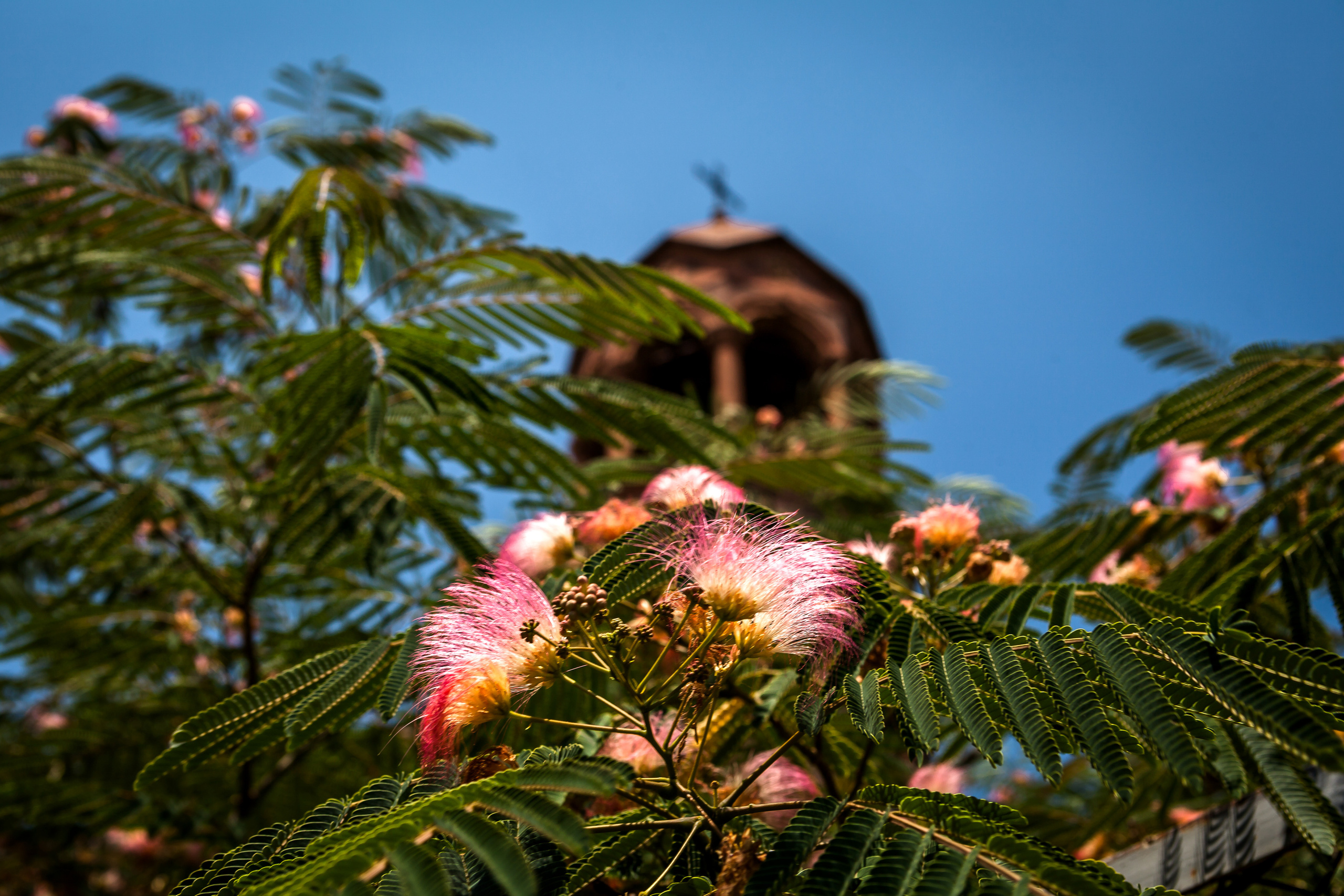 Церковь. Alexander Grigoryan photography