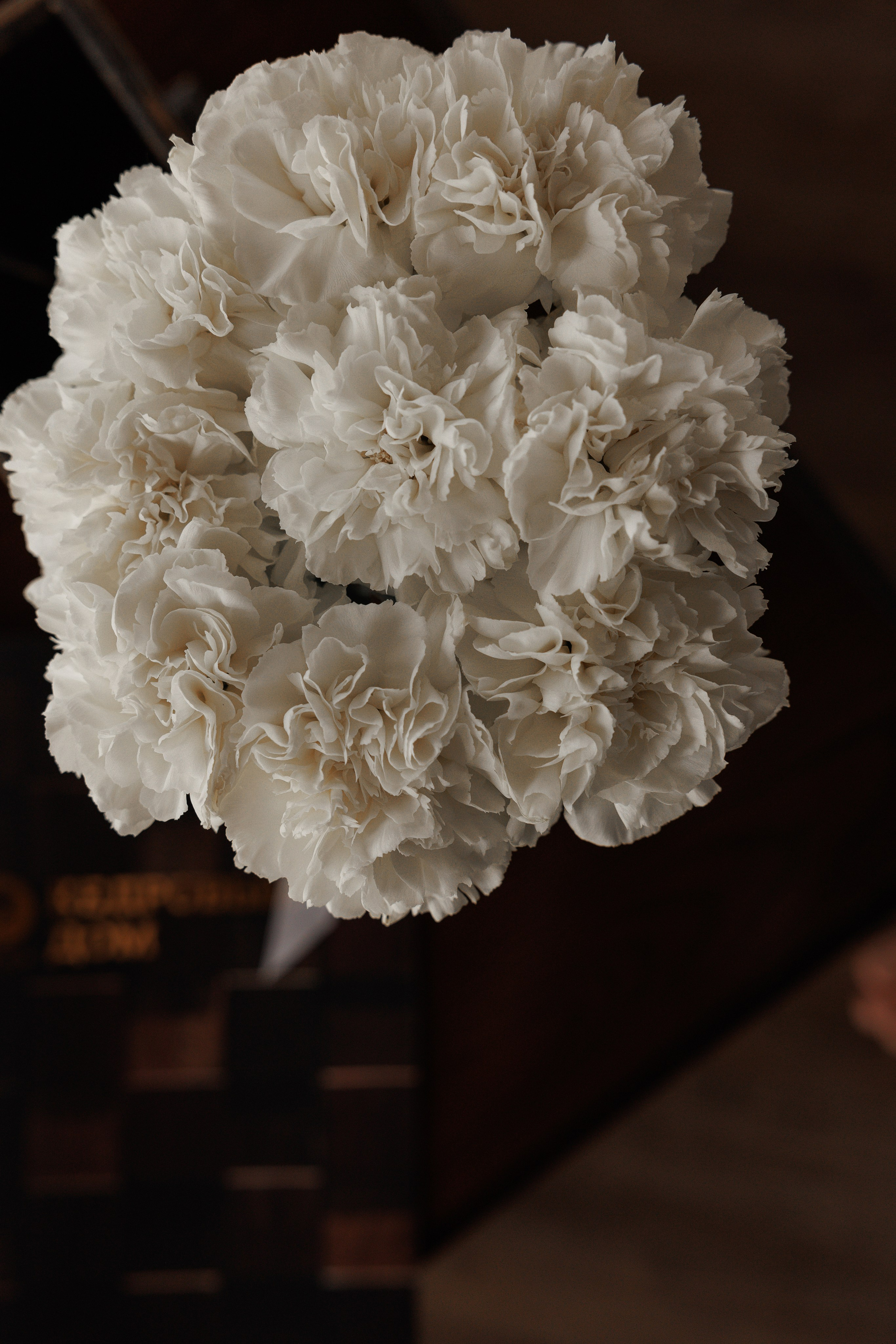 Эльвира и Константин. Свадебный и семейный фотограф  во Владивостоке Ольга Украинец