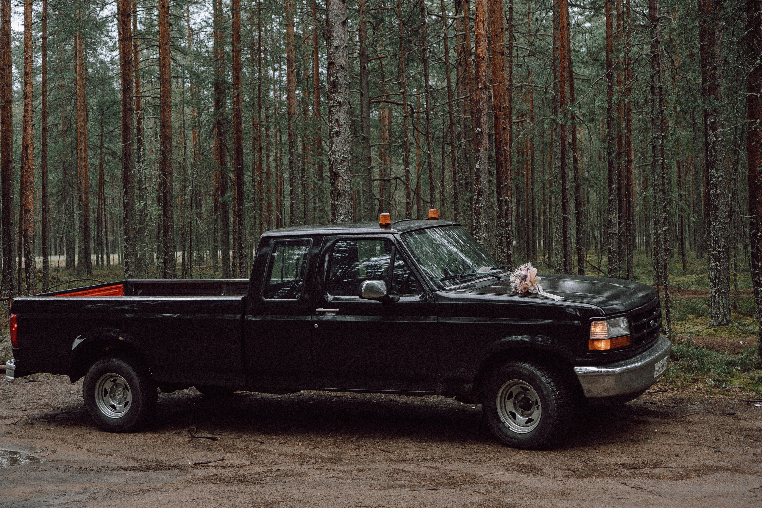 СВАДЕБНАЯ ФОТОСЕССИИЯ ПАРЫ В ГОРОДЕ ПРИОЗЕРСК В СОСНОВОМ ЛЕСУ И С ПИКАПОМ. Профессиональный фотограф, Санкт-Петербург — Виктория Богомолова