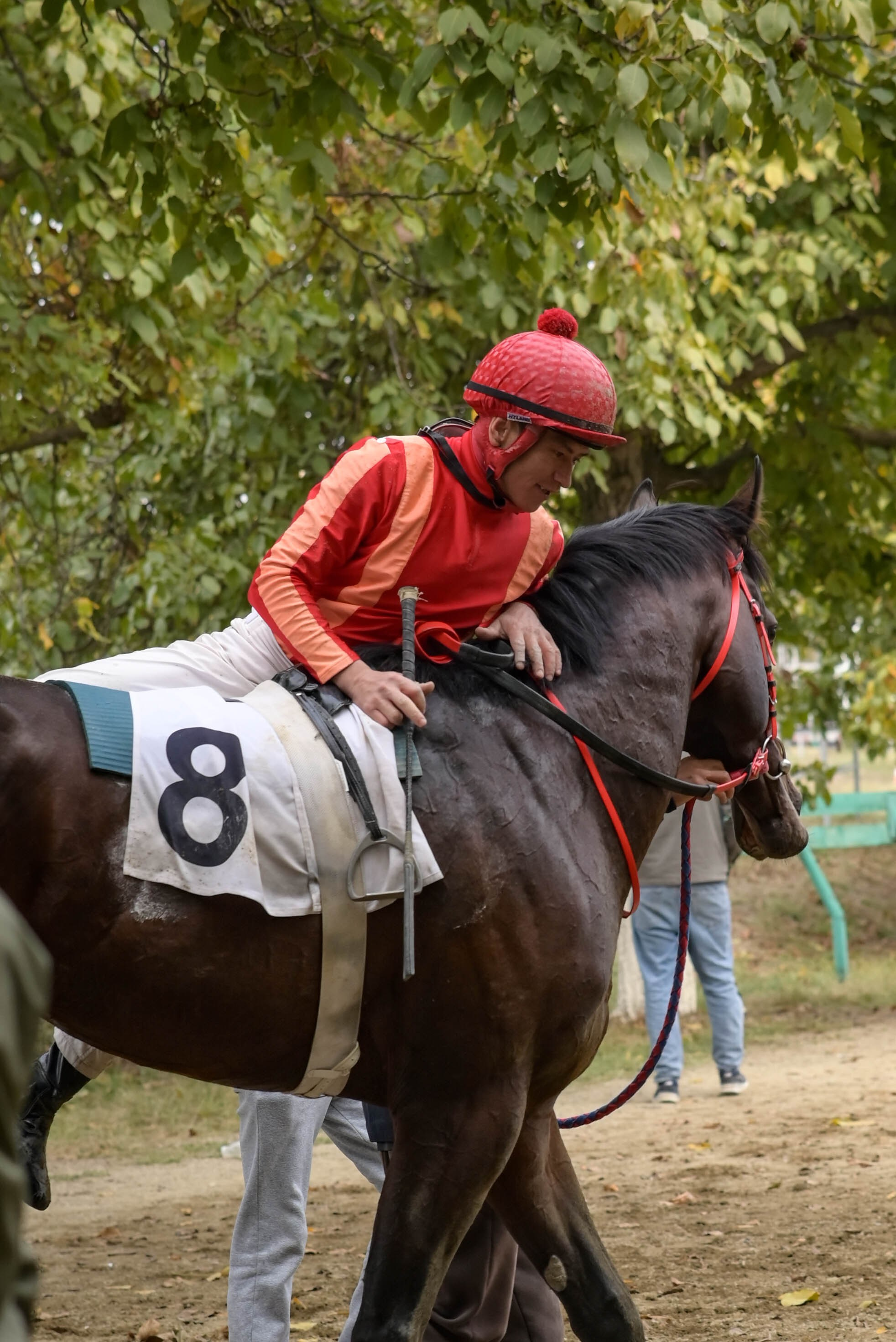 Закрытие скакового сезона 2024 г. Краснодар. Фотограф Краснодар Наталья Сувит