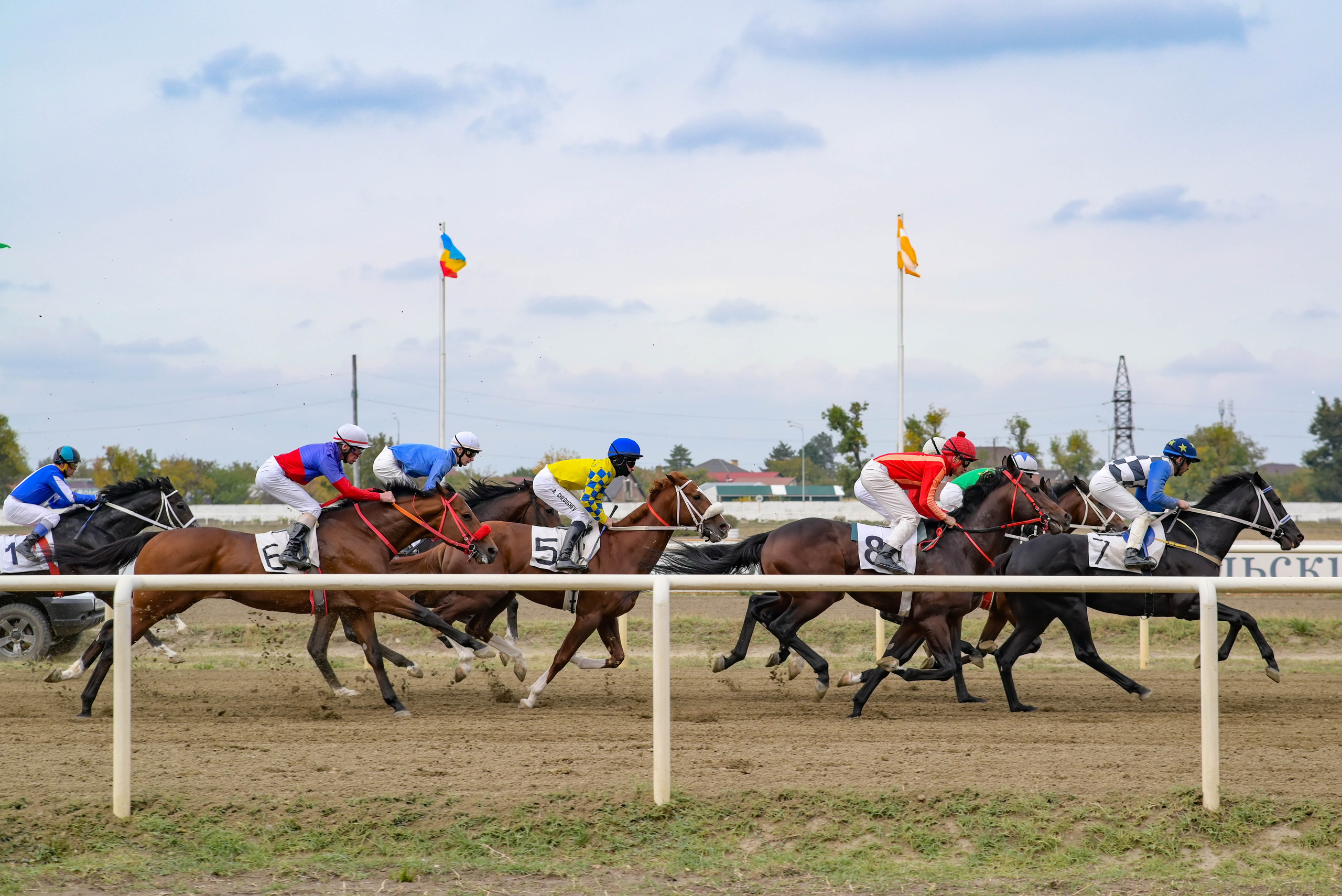 Закрытие скакового сезона 2024 г. Краснодар. Фотограф Краснодар Наталья Сувит