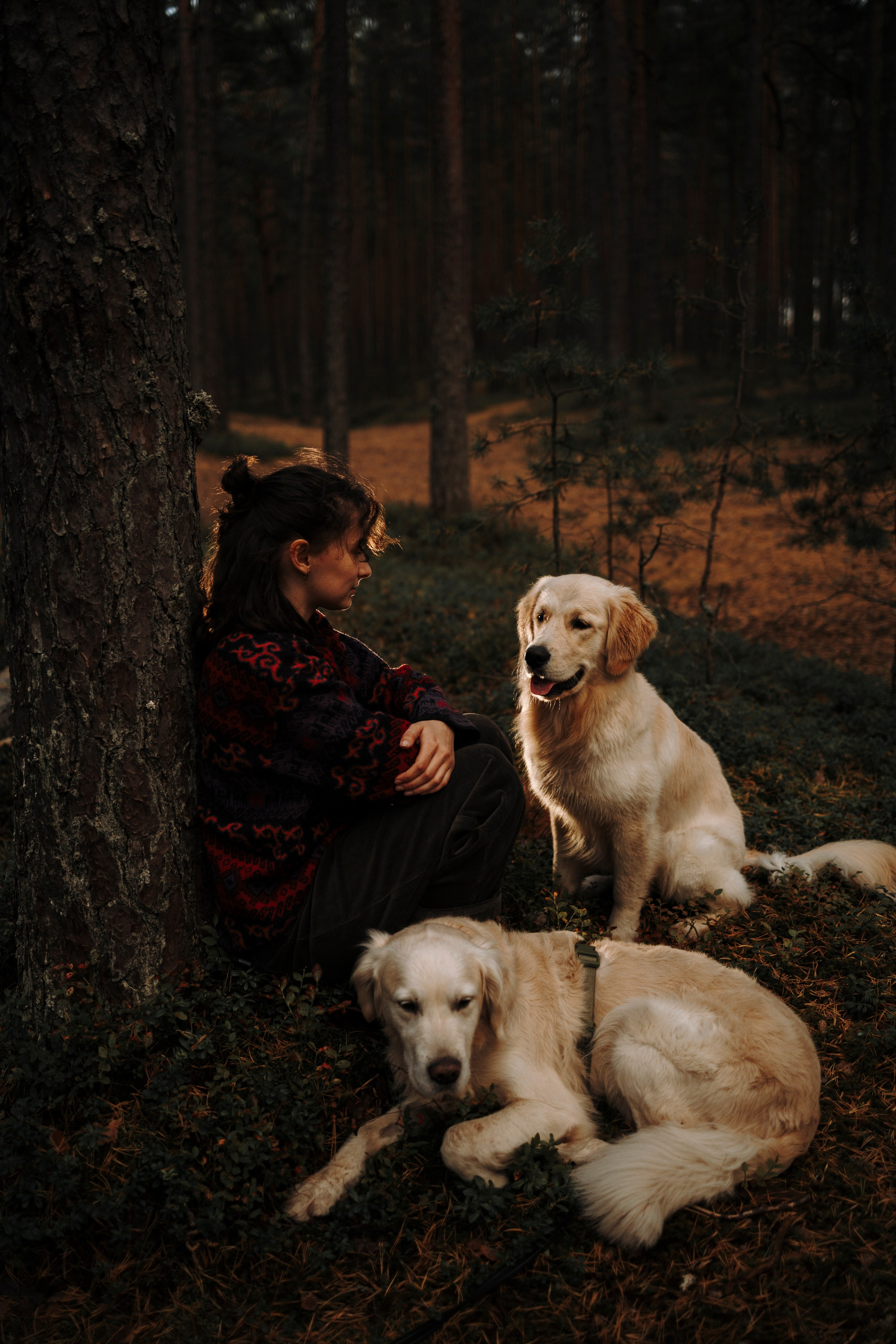 Прогулка Насти с Арчи и Арагоном. Фотограф-анималист в Санкт-Петеребурге Титова Алиса
