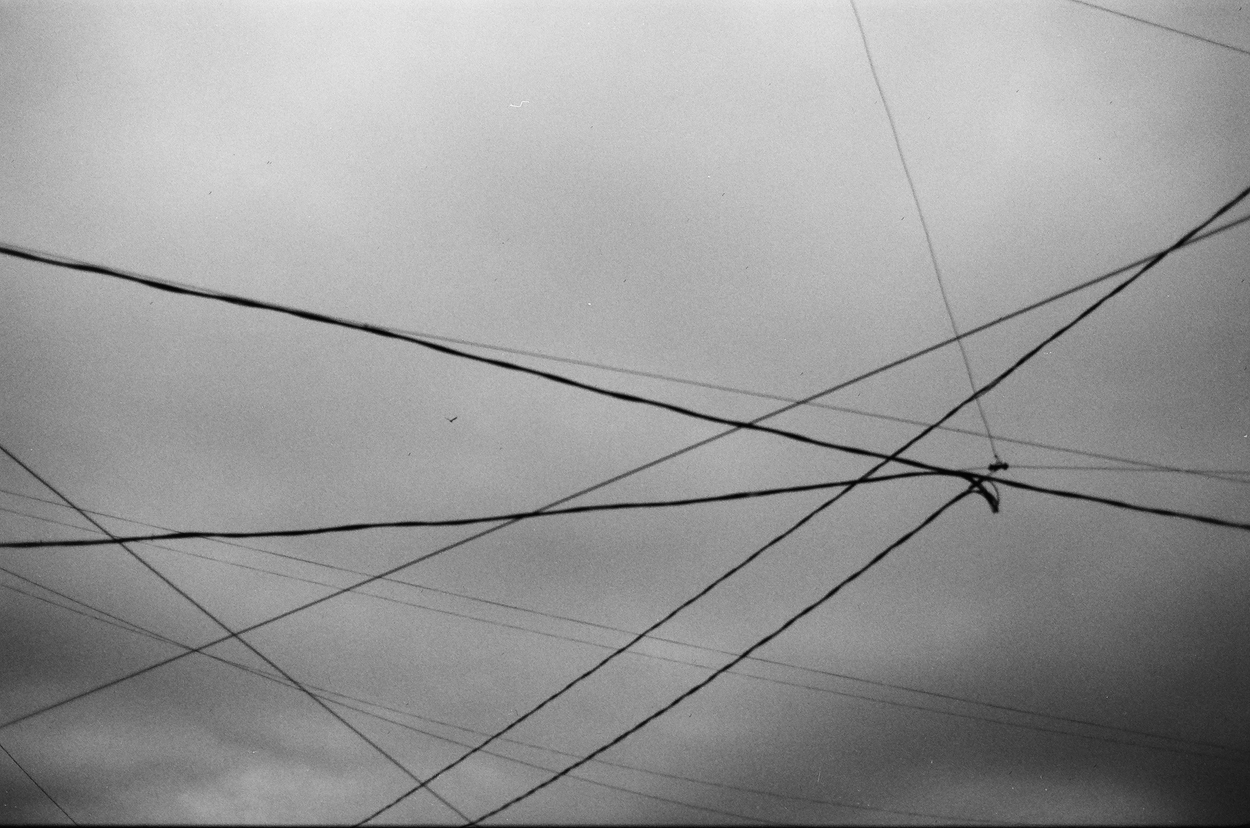 Dispersed Presence. Film and another stuff