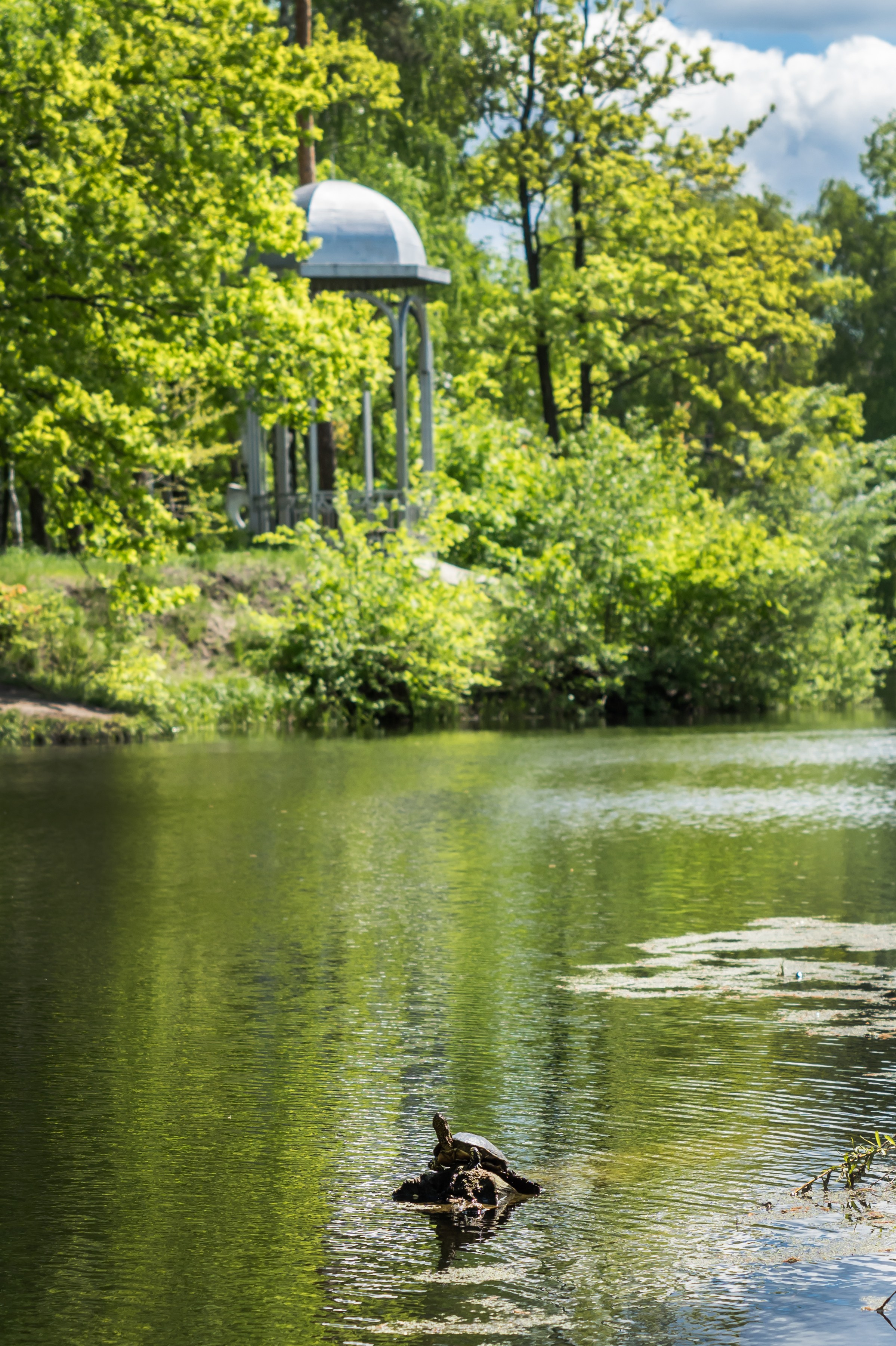Красота Заречного. Репортажный, семейный и детский фотограф в Пензе и Заречном Арина Ермилова. Картины барельеф на заказ