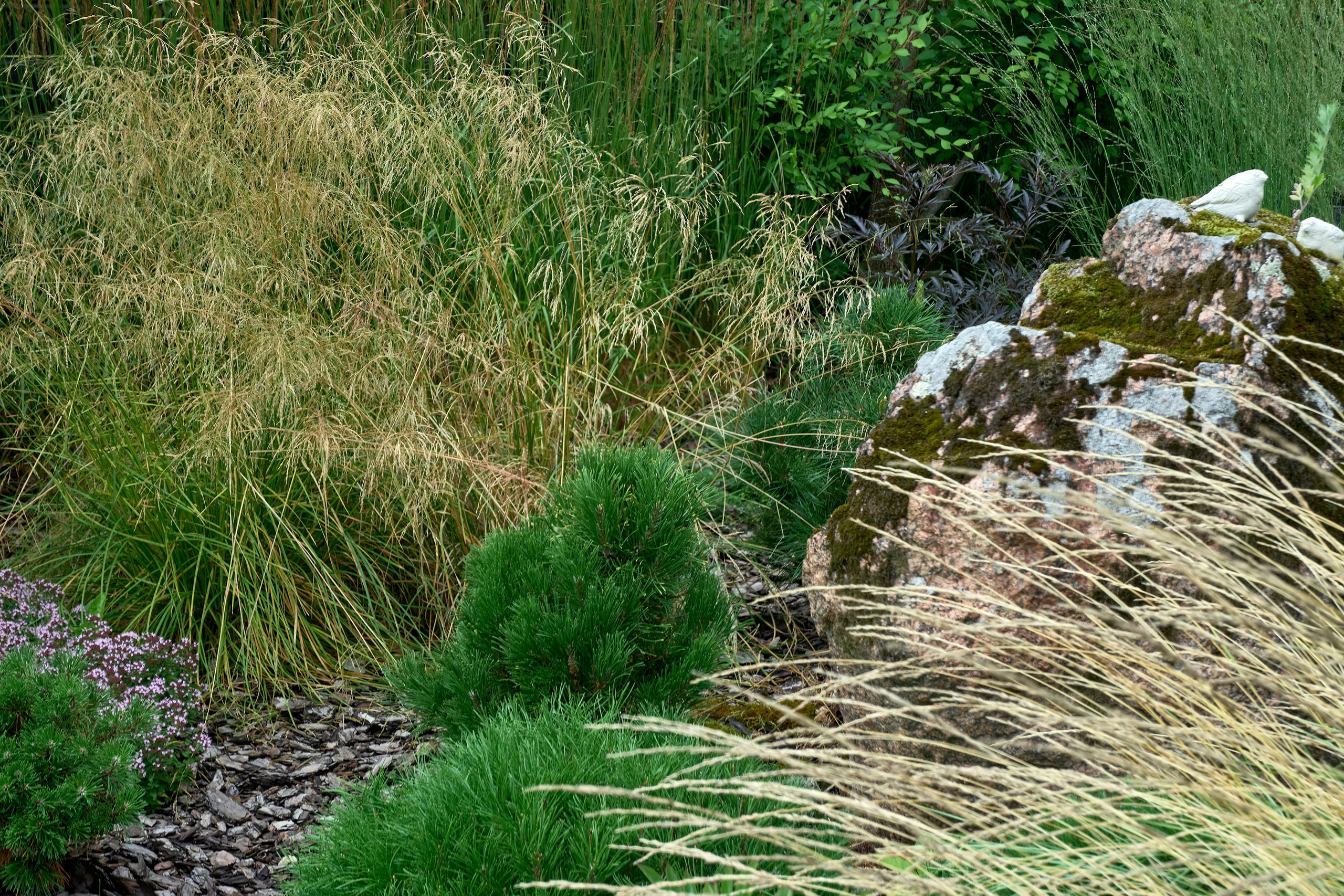 Ландшафтный и интерьерный фотограф Наталья Соловьева. Фотосъемка частного сада под Гатчиной для Таисьи Игошиной | interioto