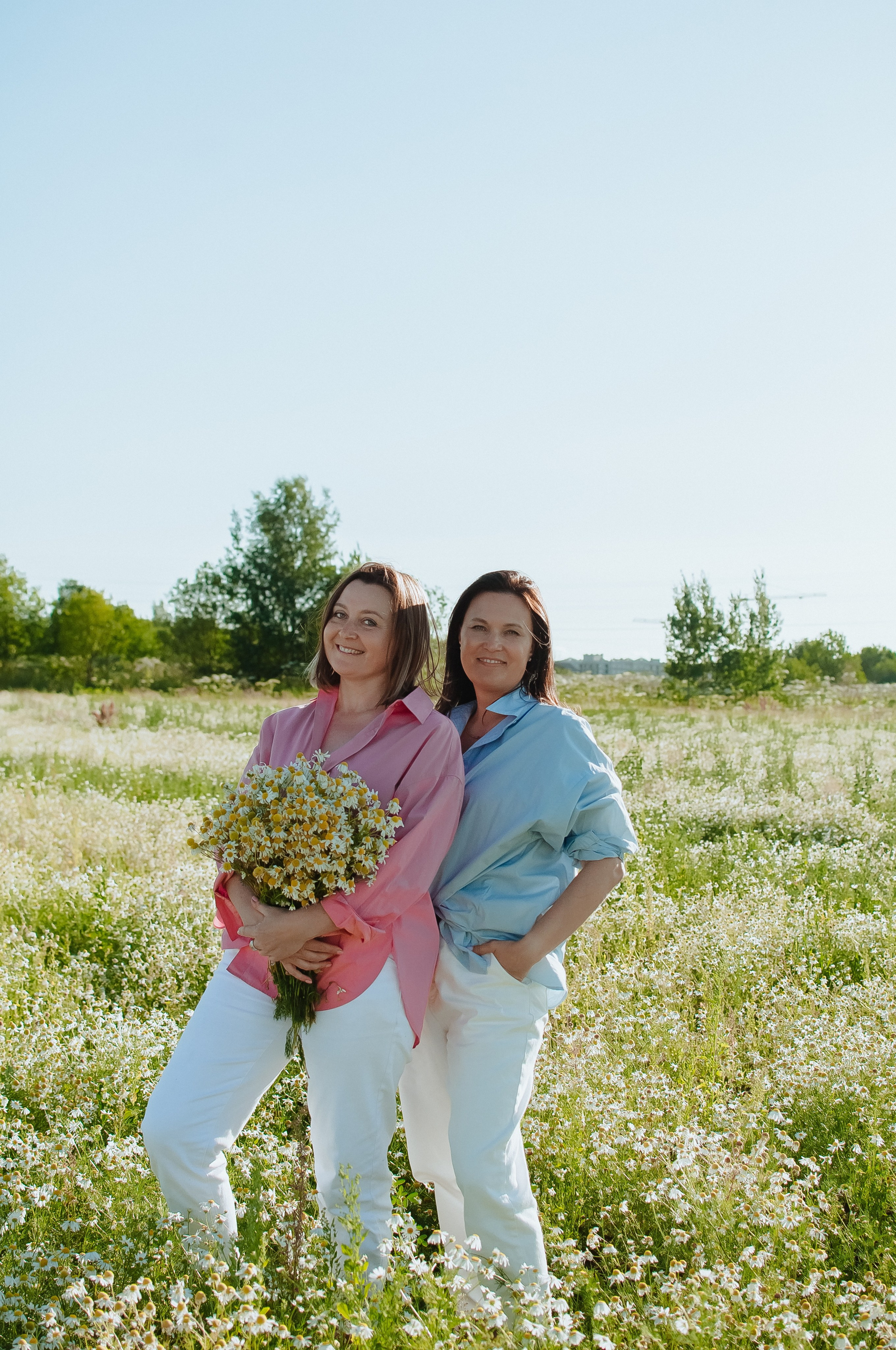 Привет ромашки