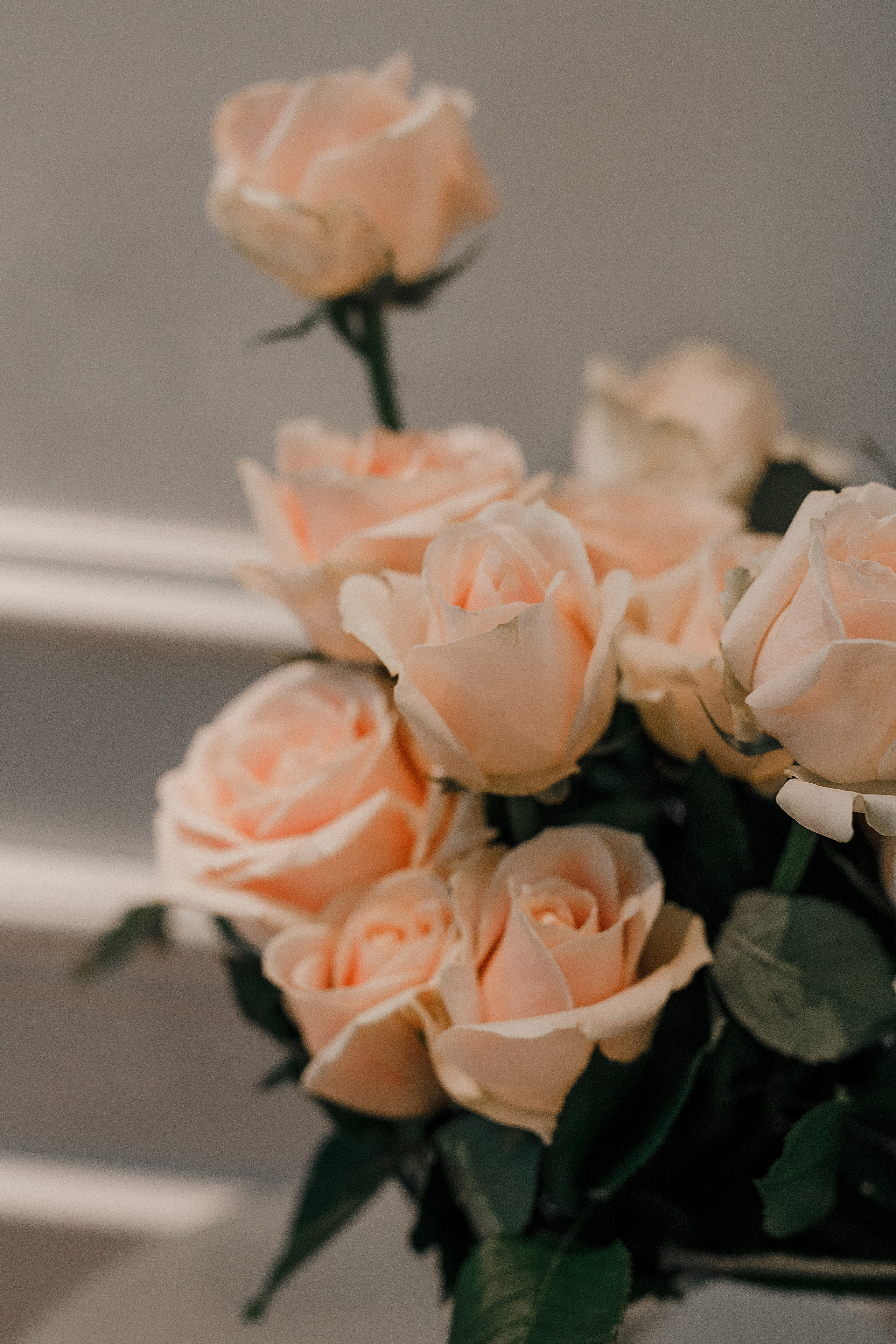 Дмитрий и Анастасия. Свадебный и семейный фотограф в Саратове Виолетта Привалова