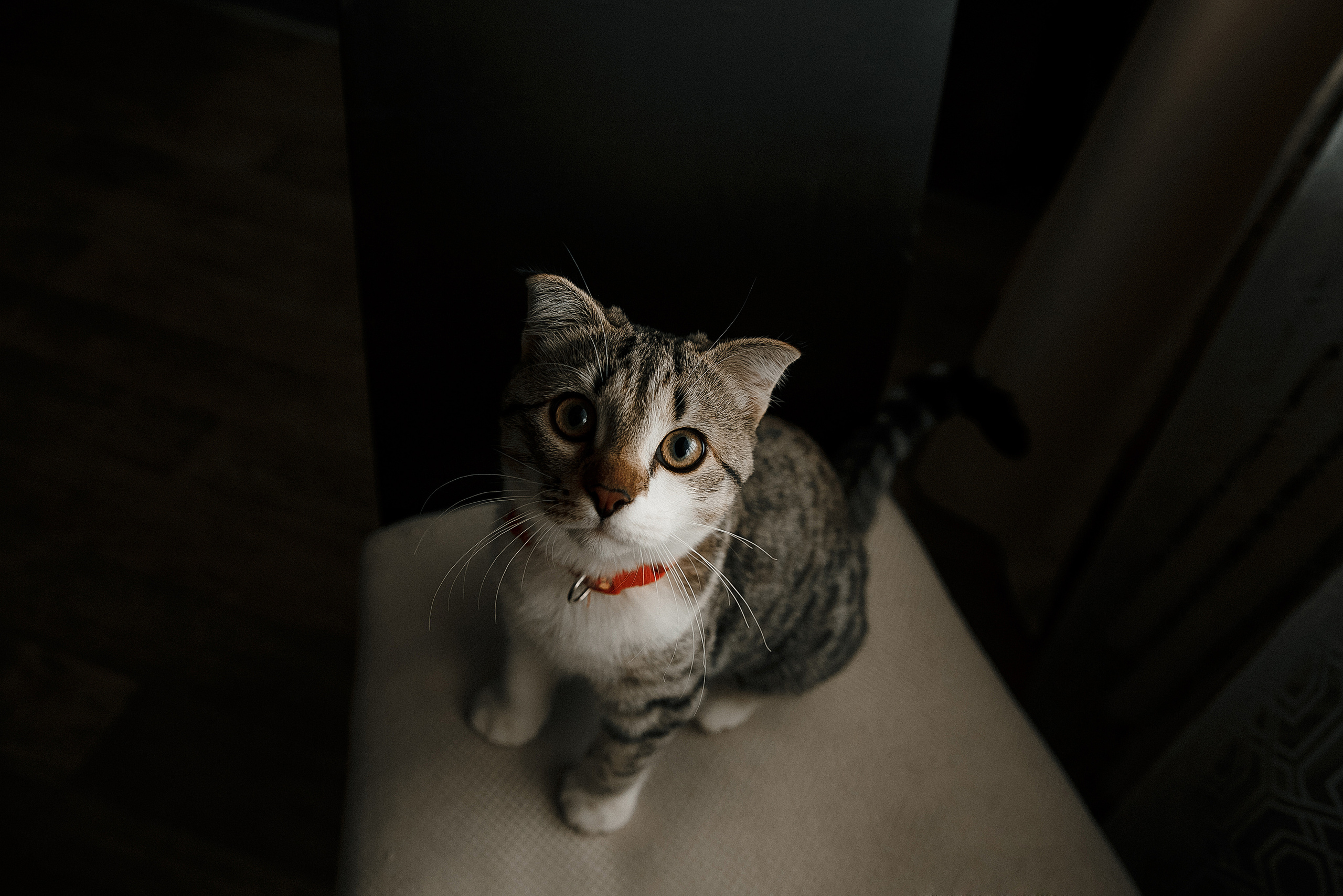 В ожидании малышки. Свадебный и семейный фотограф в Саратове Виолетта Привалова