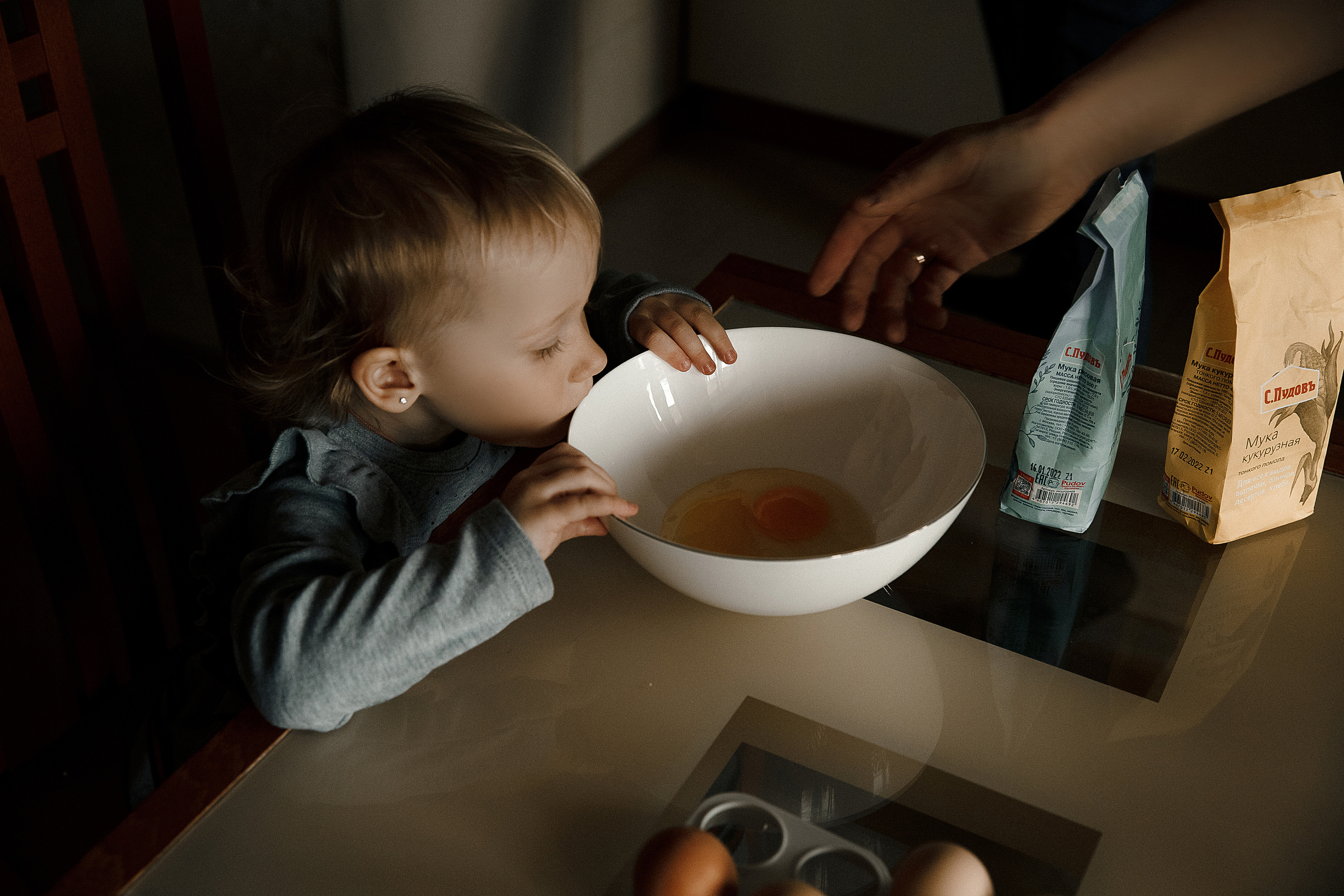 Трое и кошка Рыся (Рысь). Свадебный и семейный фотограф в Саратове Виолетта Привалова