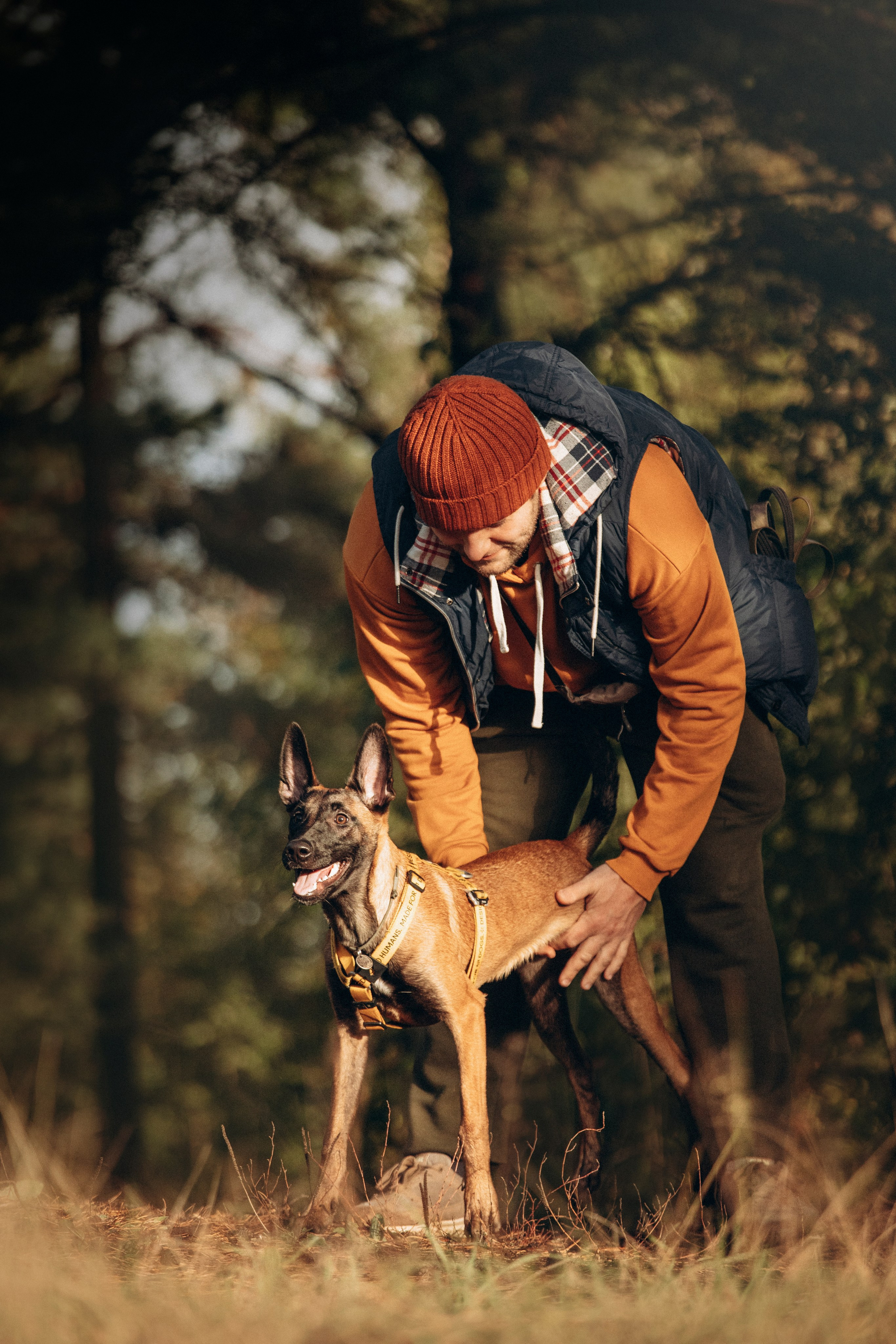 Трисс, Эста, Яся и их семья. Фотограф — Анималист | Санкт-Петербург