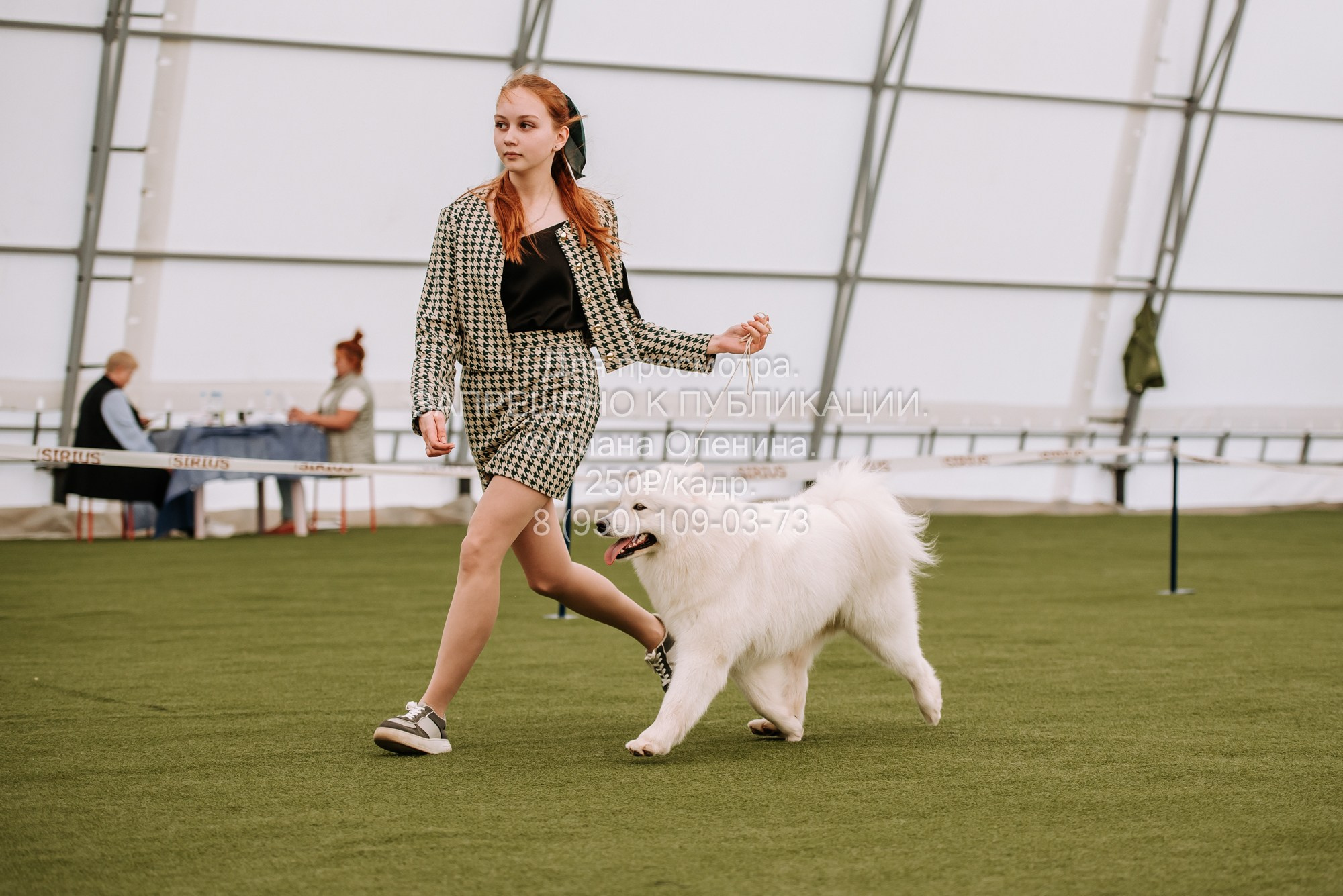 Выставка собак Красноярск 2.06. Фотограф Диана Оленина Красноярск / Братск