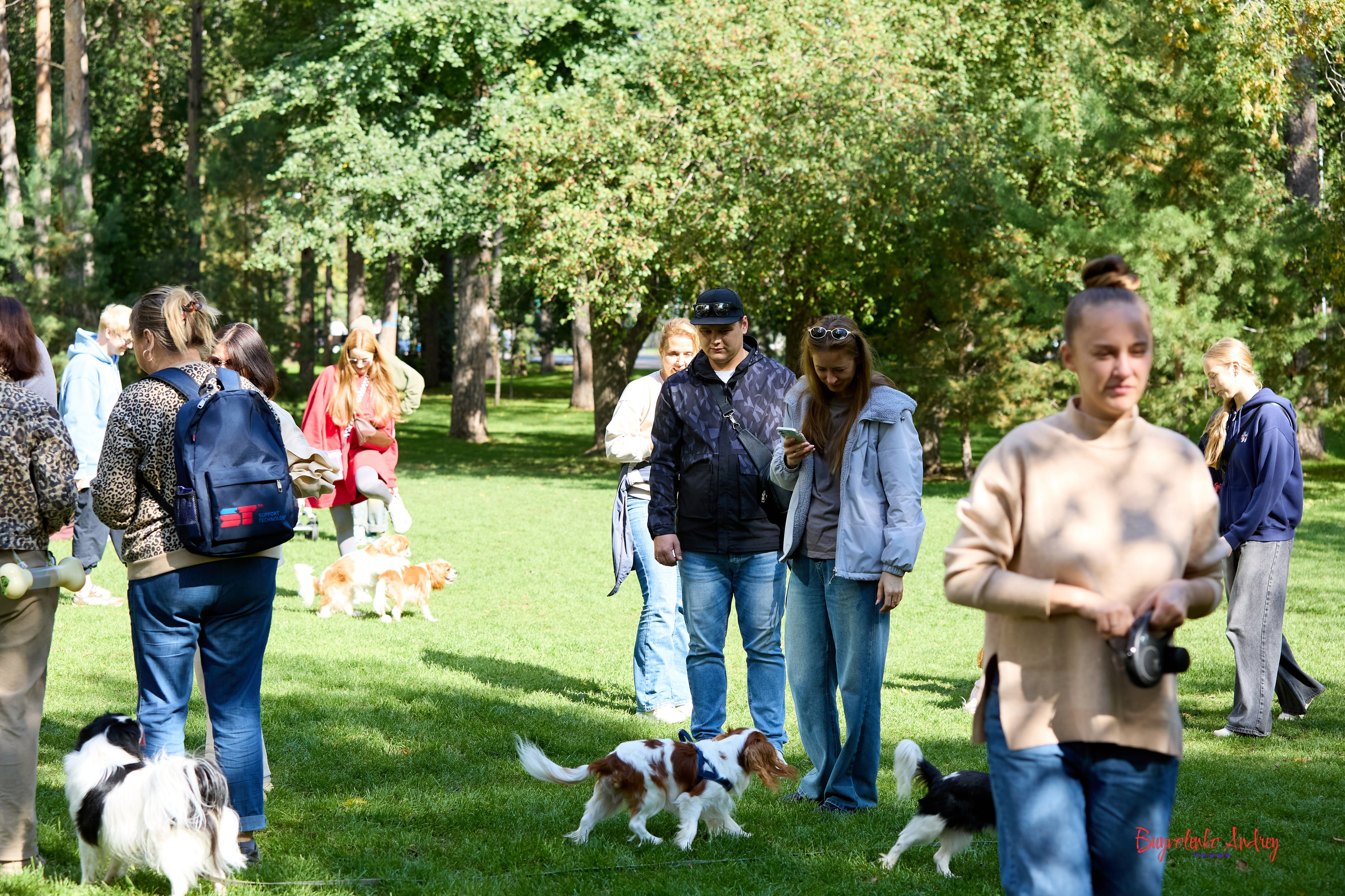 Фотопрогулка с кавалерами. Buyvolenko Andrey