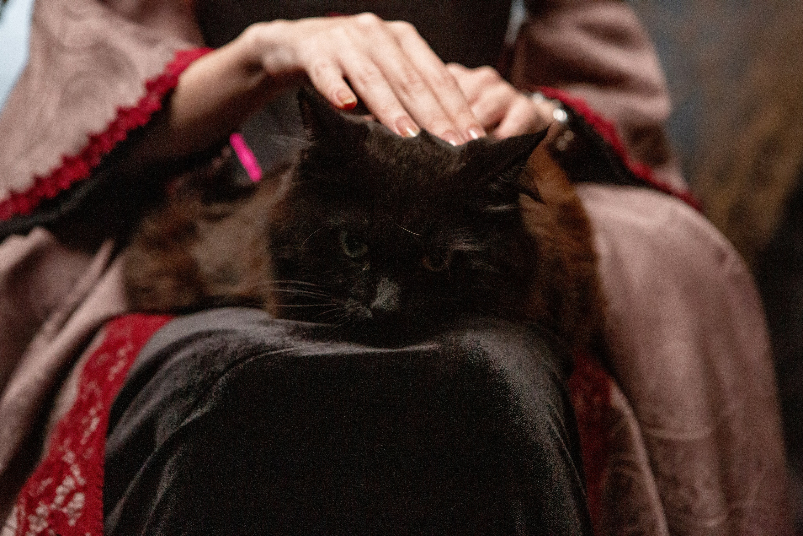 Салемские истории. Фотограф Екатерина Голицына