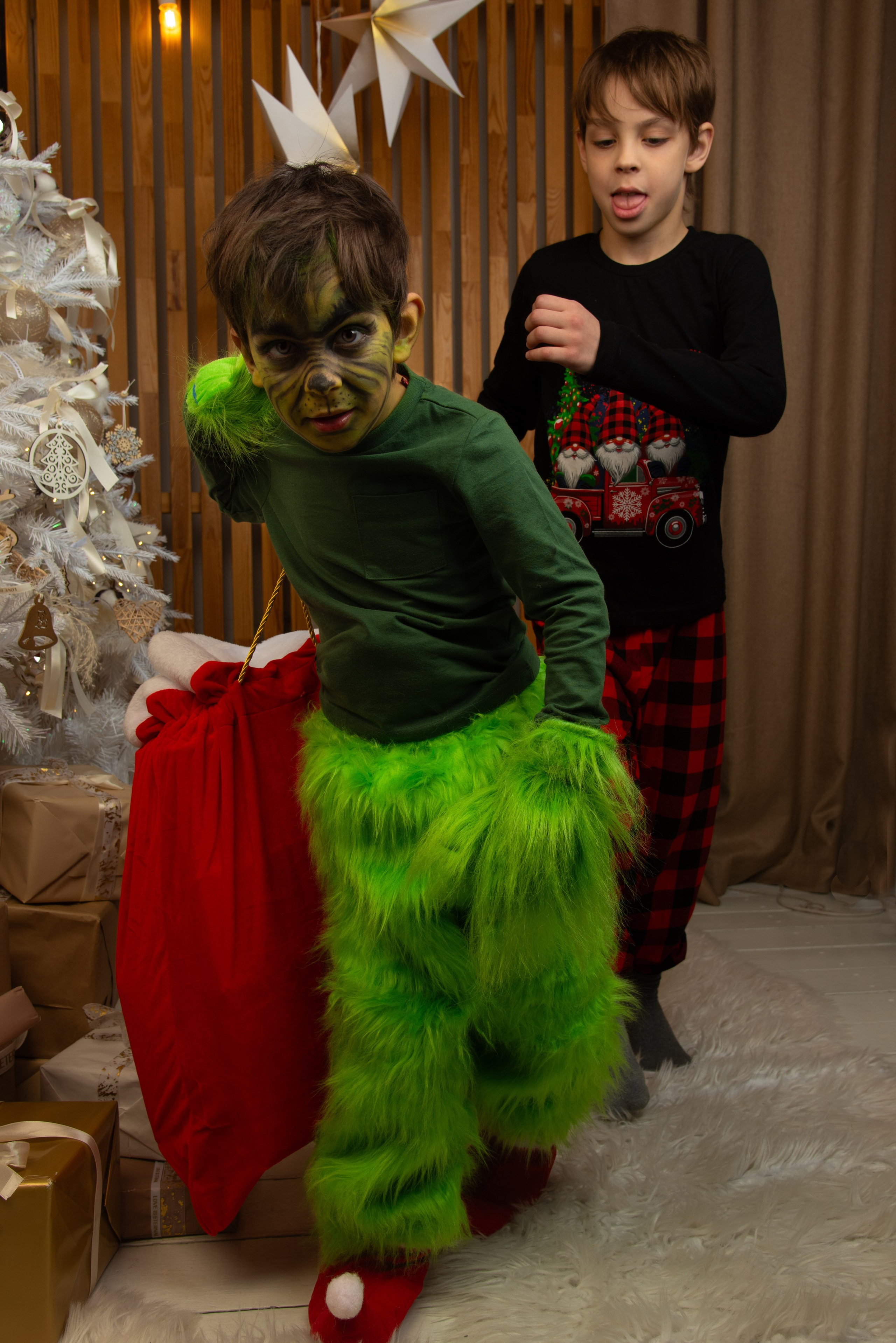 Новый Год. Гринч. Портретный Семейный Fine-Art фотограф в Санкт-Петербурге Криулина