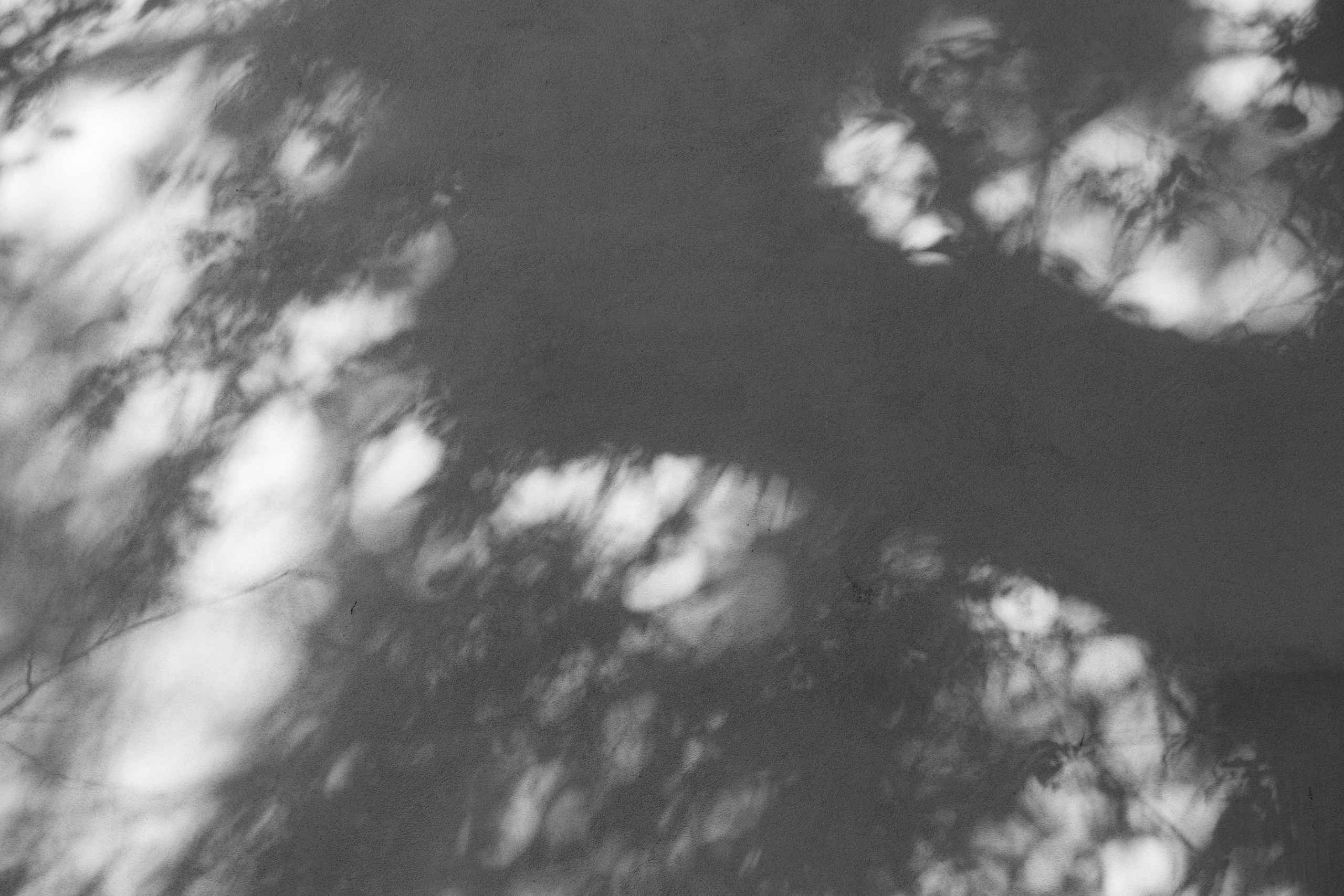 Art prints. Фотограф алина стерхова, алина стерхова фотограф, фотограф москва