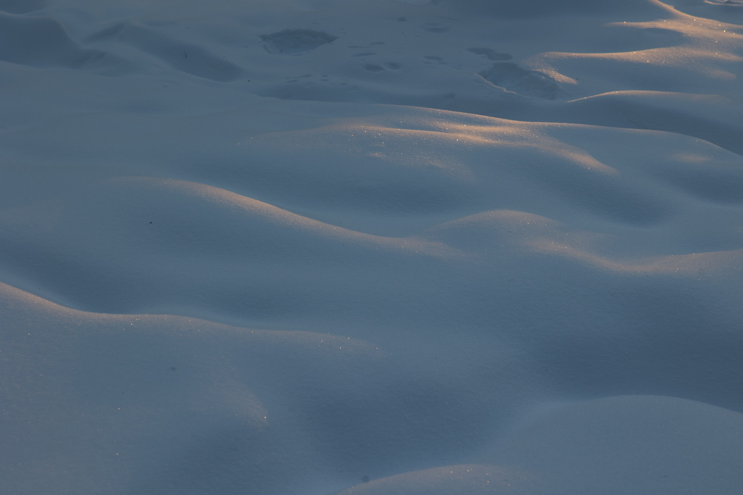 Art prints. Фотограф алина стерхова, алина стерхова фотограф, фотограф москва