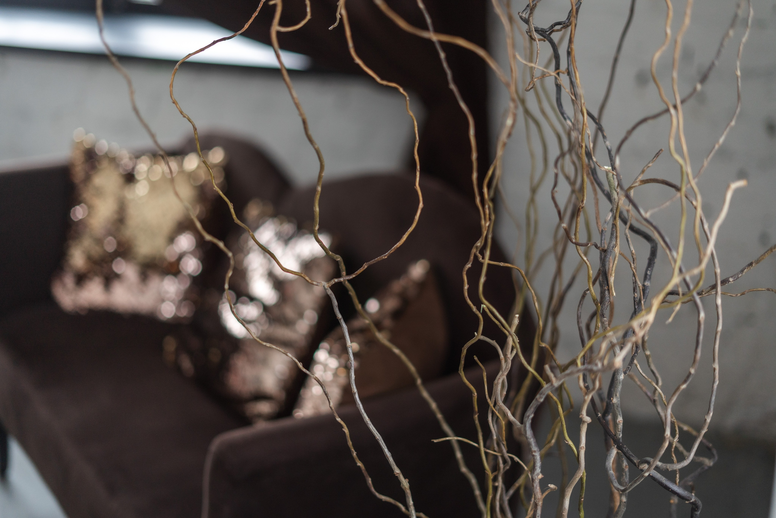 Зал Life фотостудия Импульс. Фотостудия в Саратове. Фотограф в Саратове