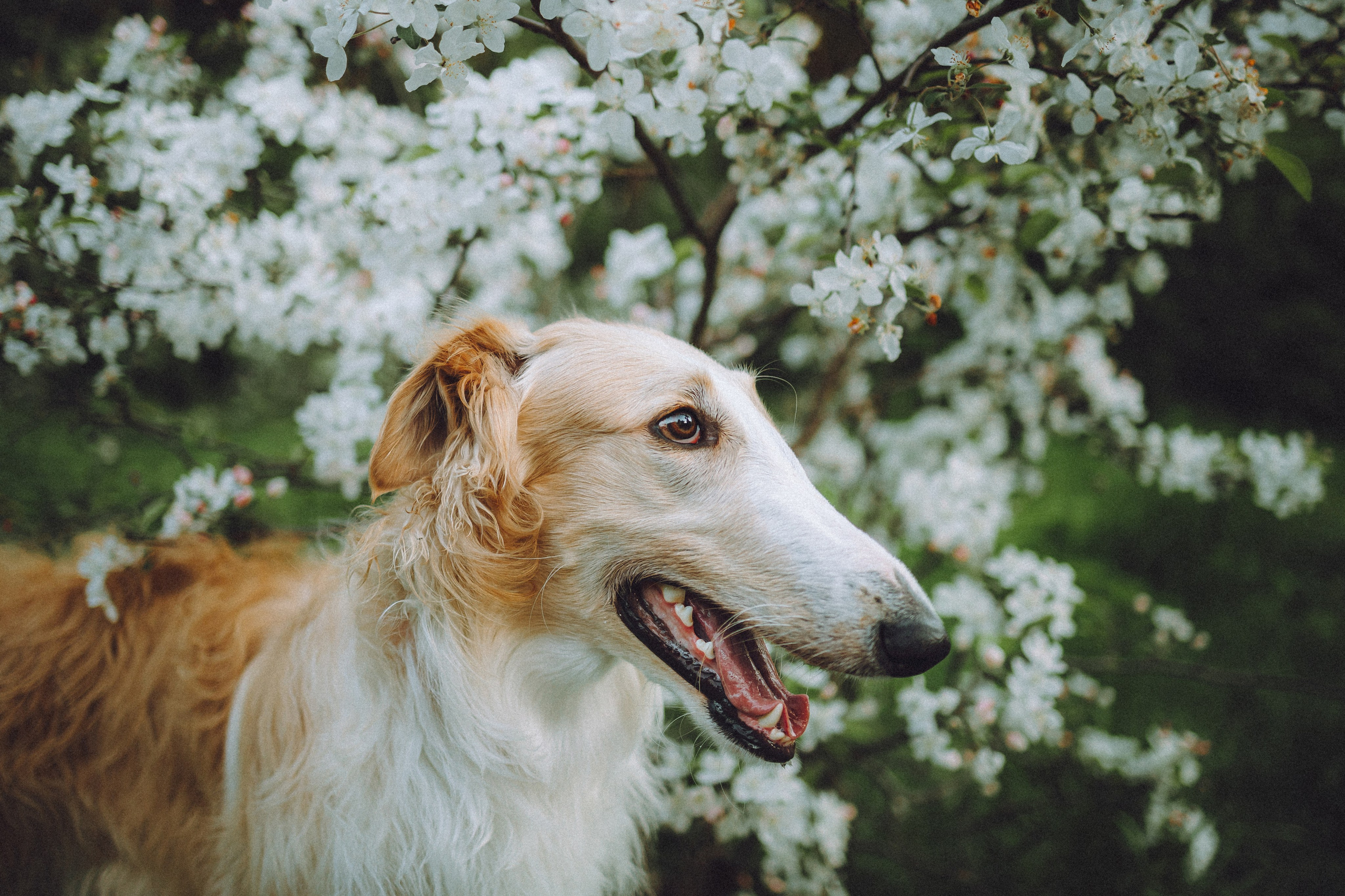 Илай, Зайка и их семья