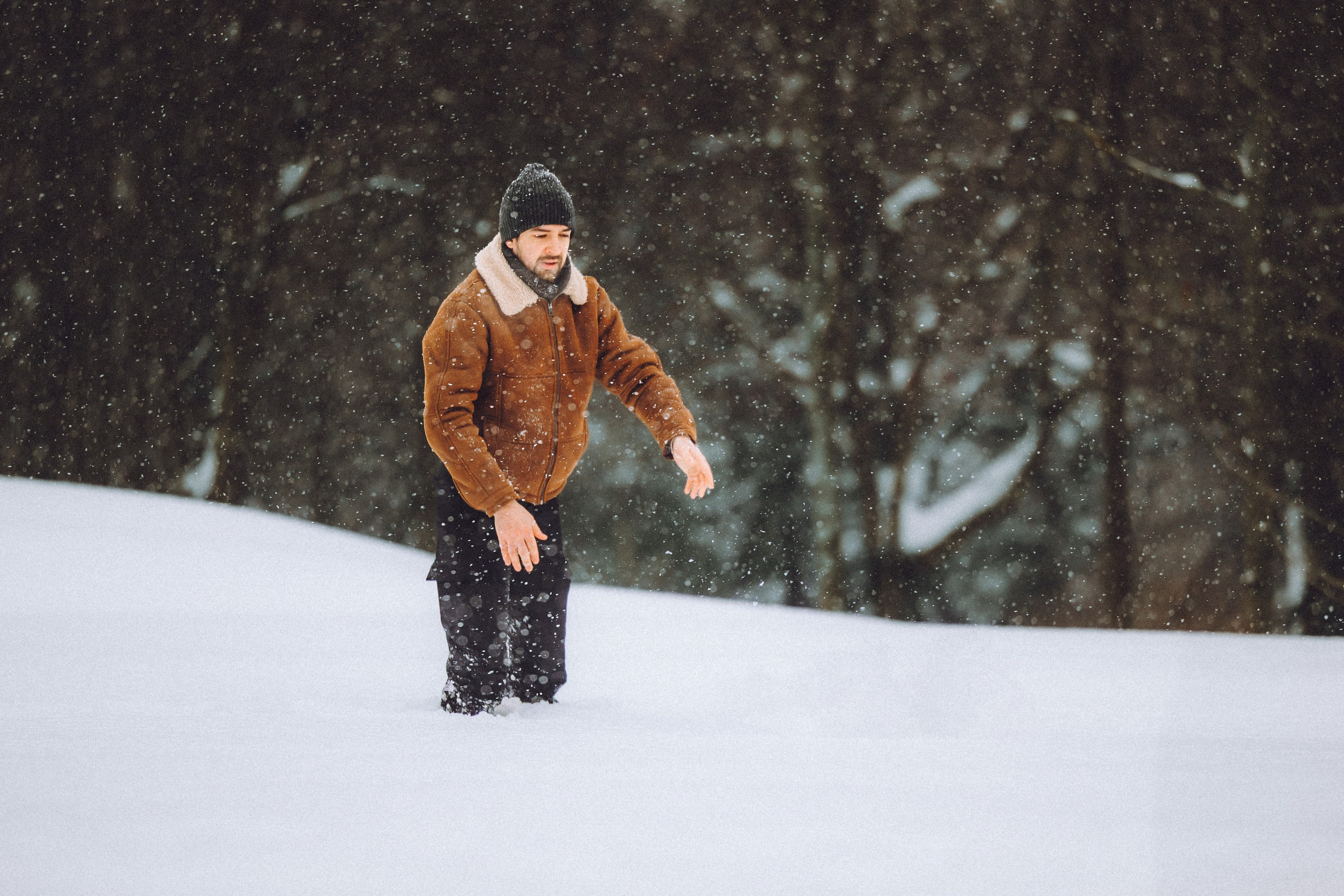 Роман, Портер и Коррес