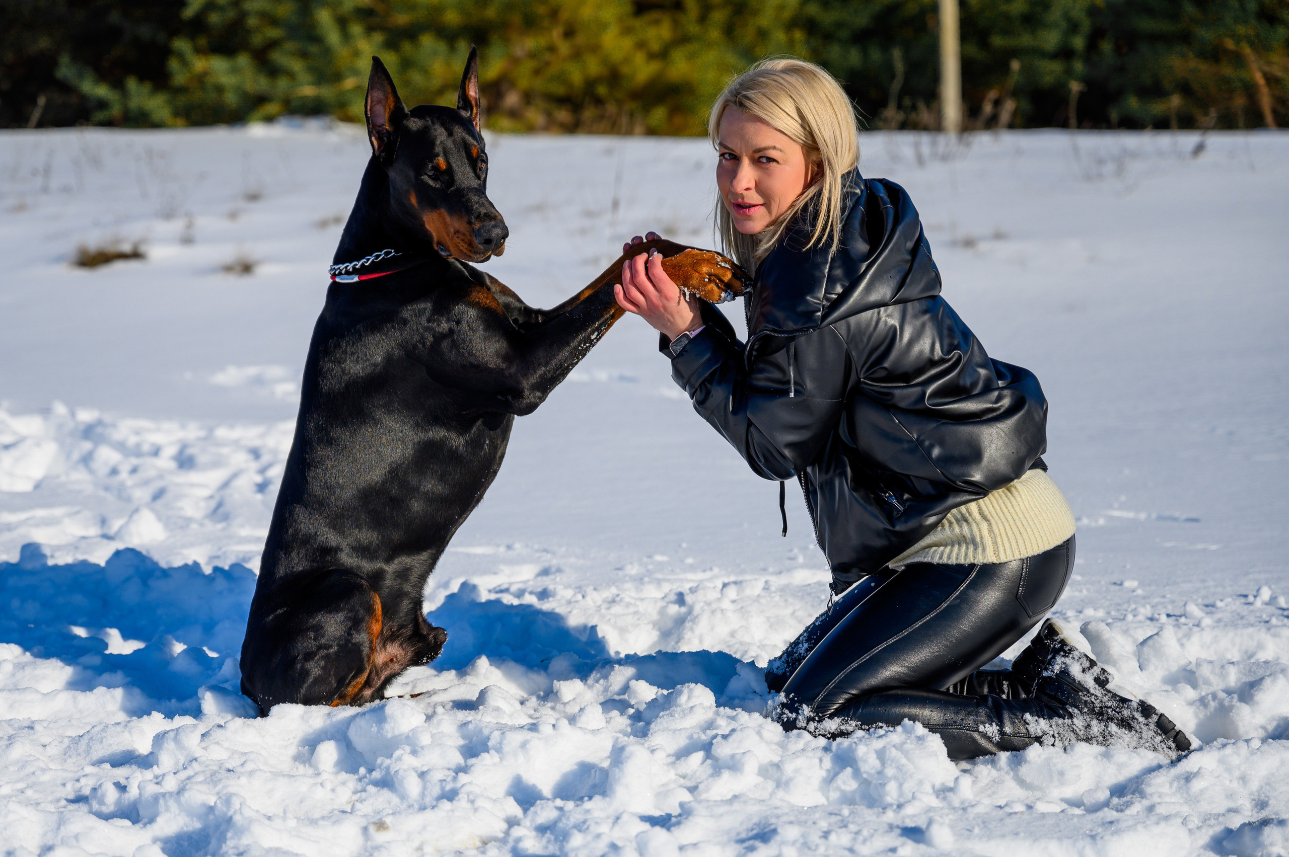 Доберман Рэн. Bazarkom-photo.ru Фотограф Виктор Оськин в Старом Осколе