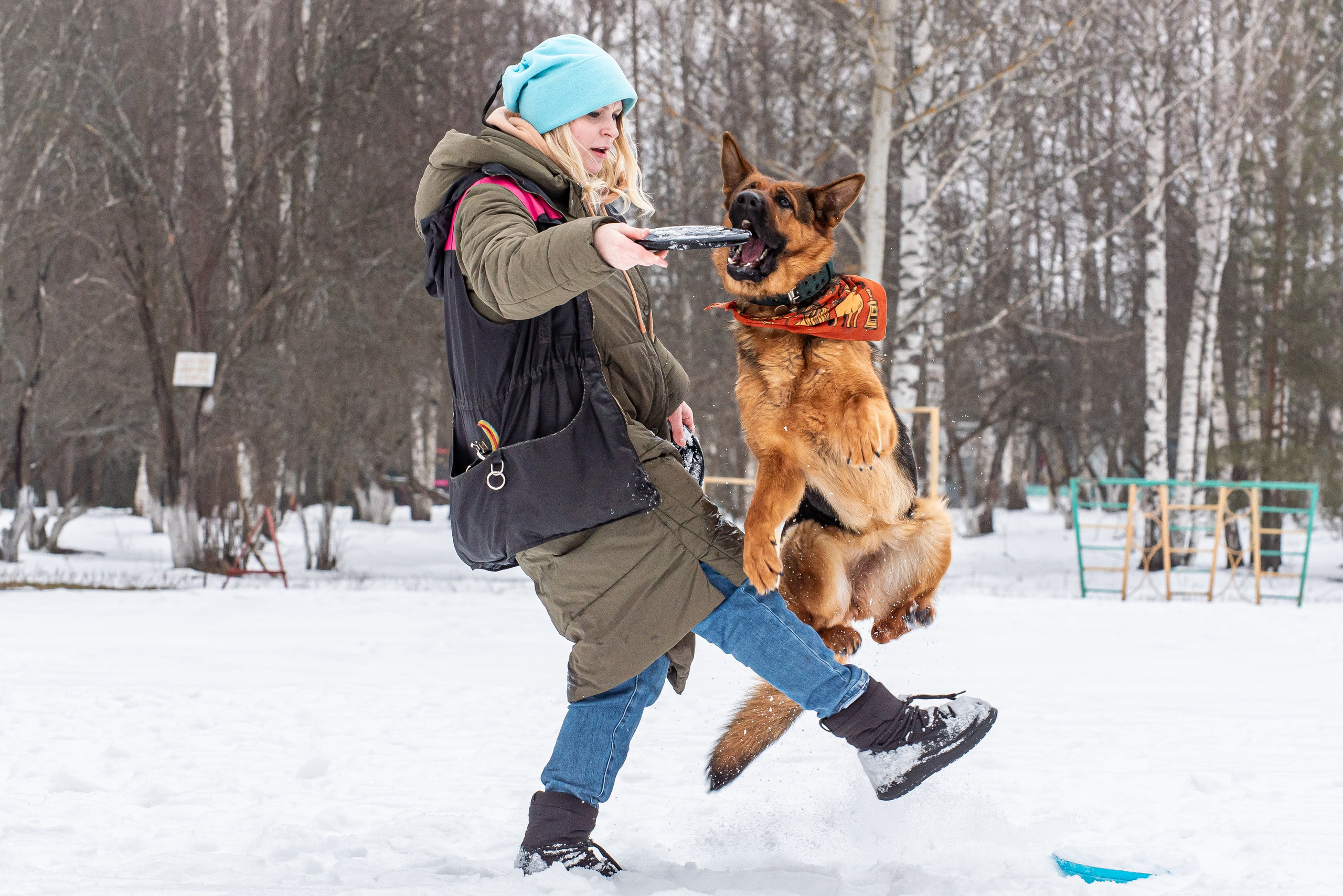 Фотосъёмка с собаками в Кинологическом лагере. Фотограф Макс Огурцов в Нижнем Новгороде