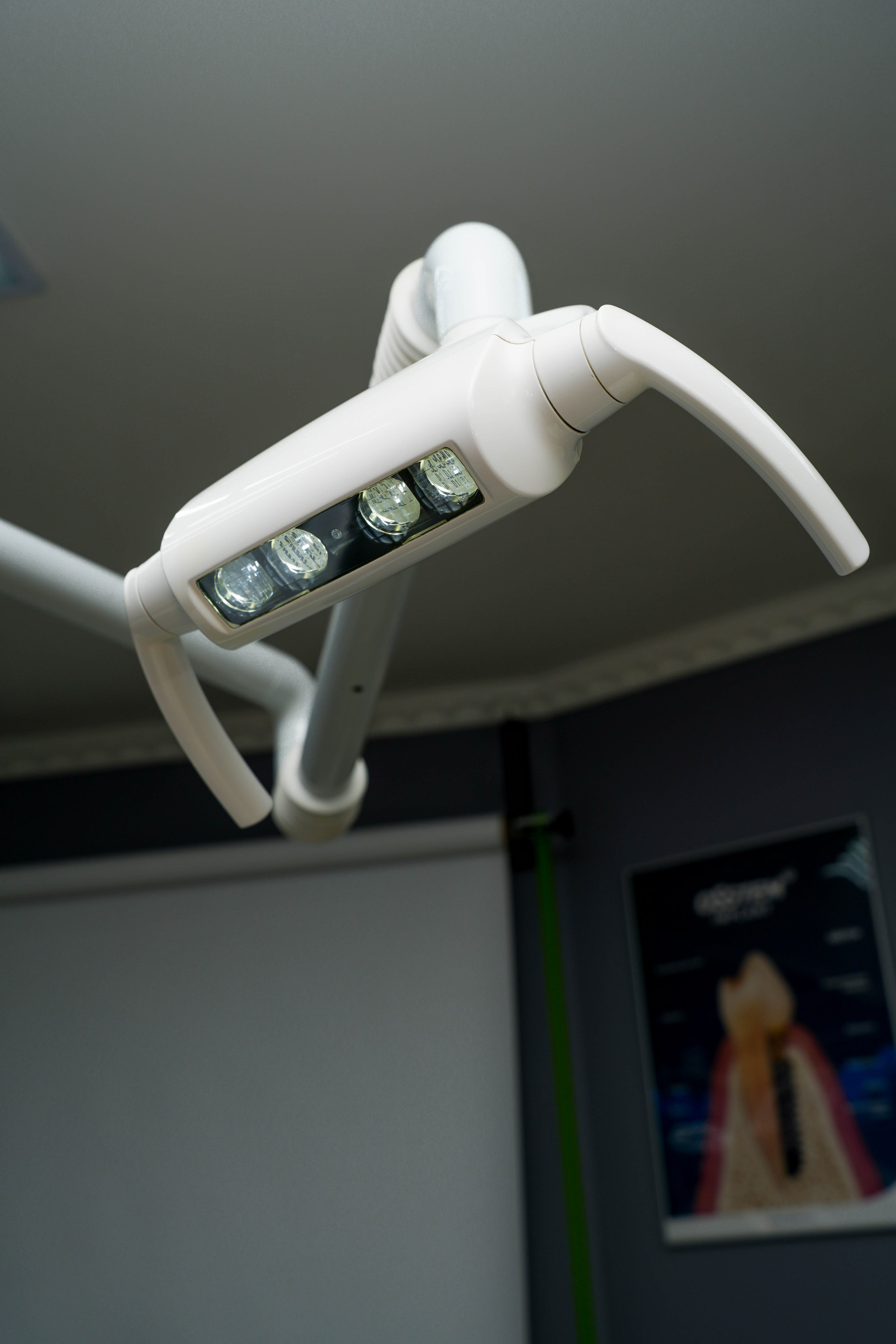 Vivastom. Фотограф Элина Задорожная