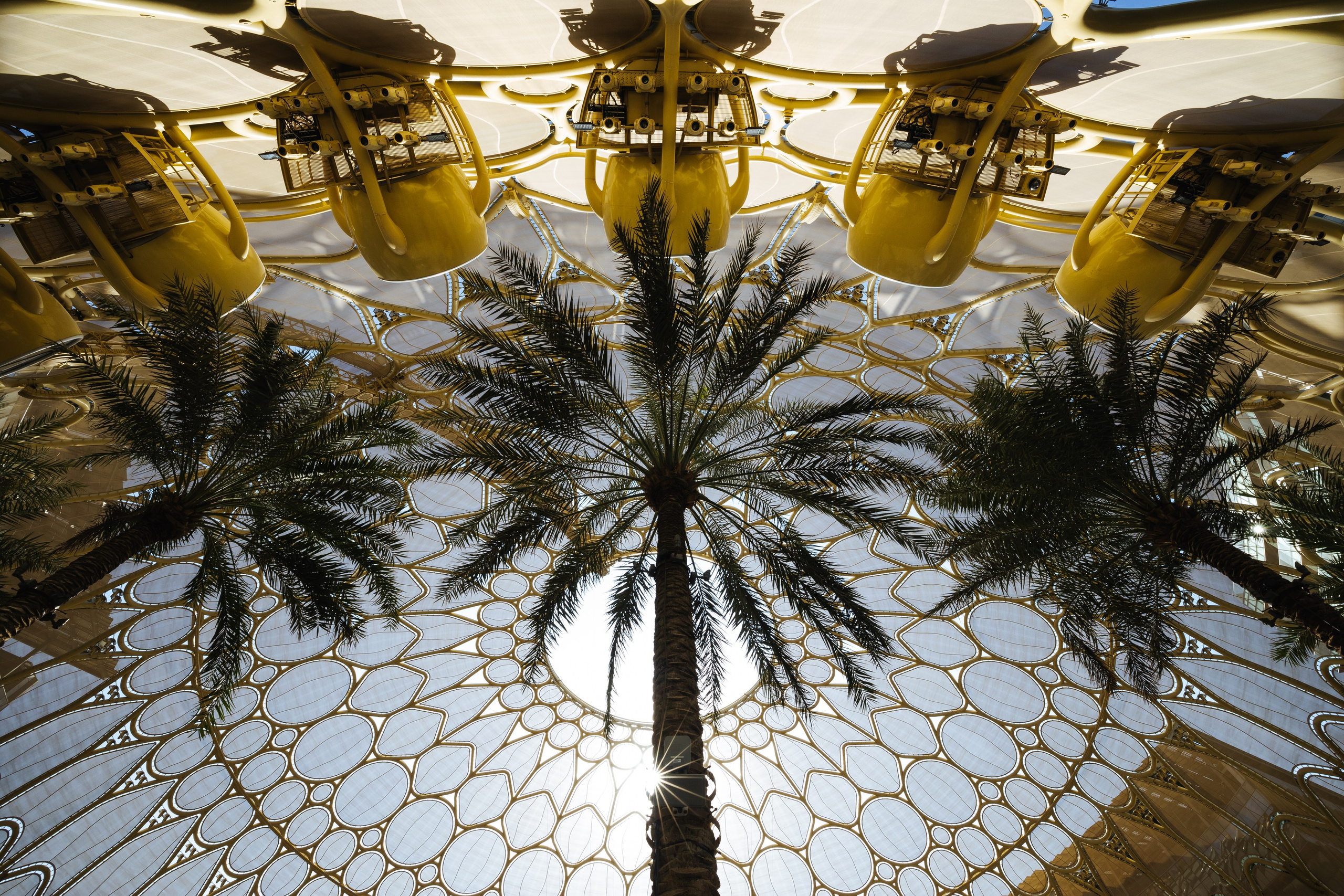 Дубай 2023. Руслан Плахтеев