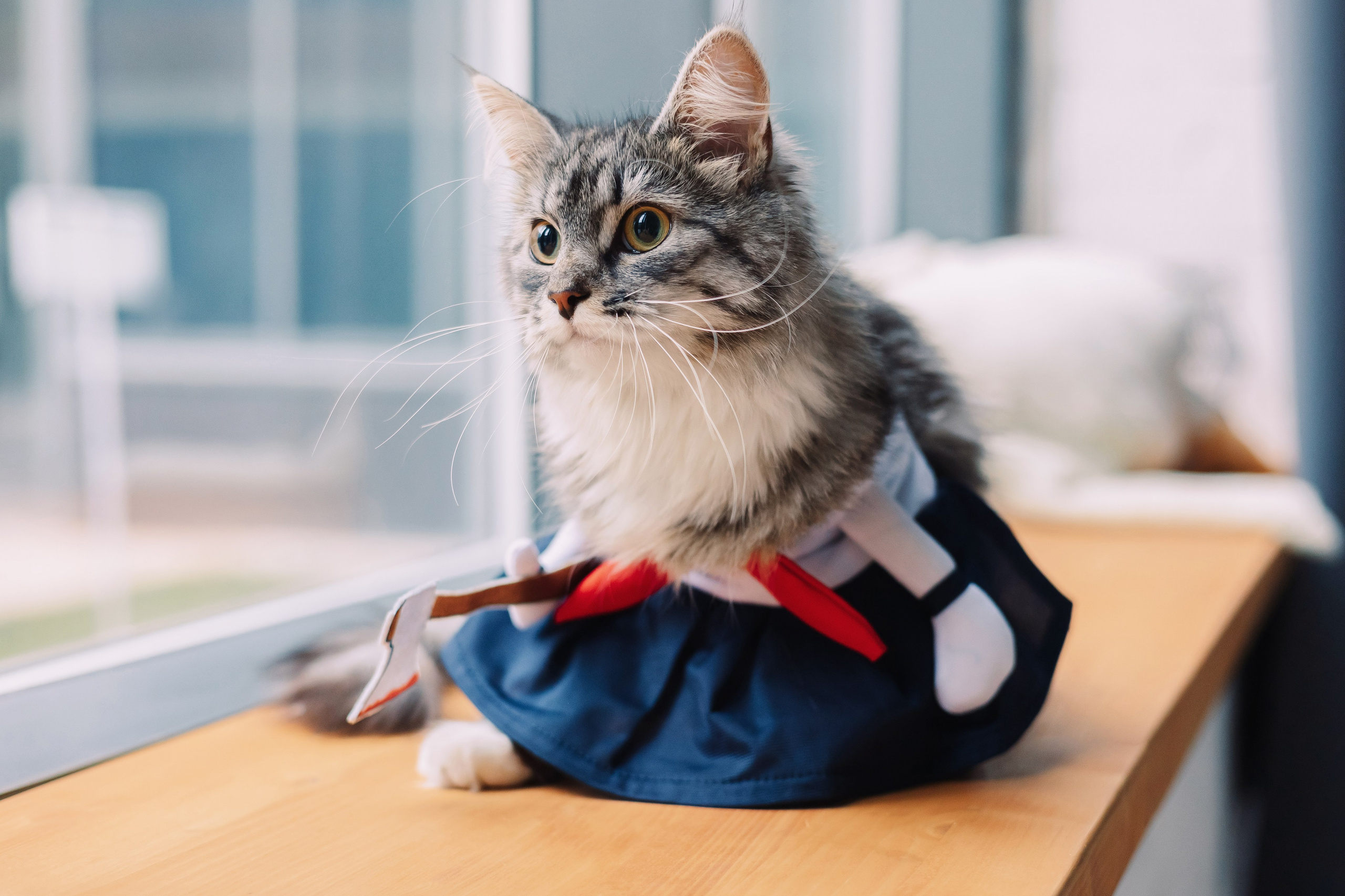 Магазин Friend of mine. Фотограф-анималист Елена Радченко, Москва