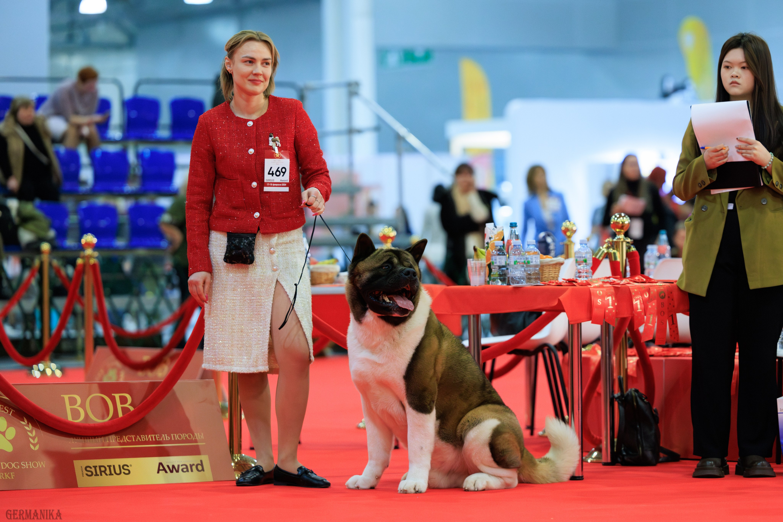 Лучшие Собаки России 17-18.02.2024. Фотограф-анималист Юлия Германика