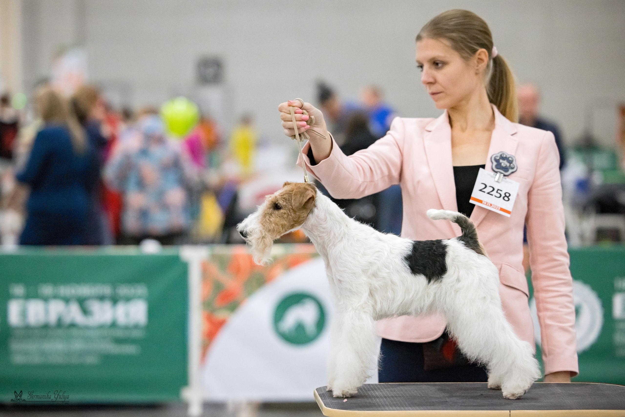 ЕВРАЗИЯ 18-19.11.2023. Фотограф-анималист Юлия Германика