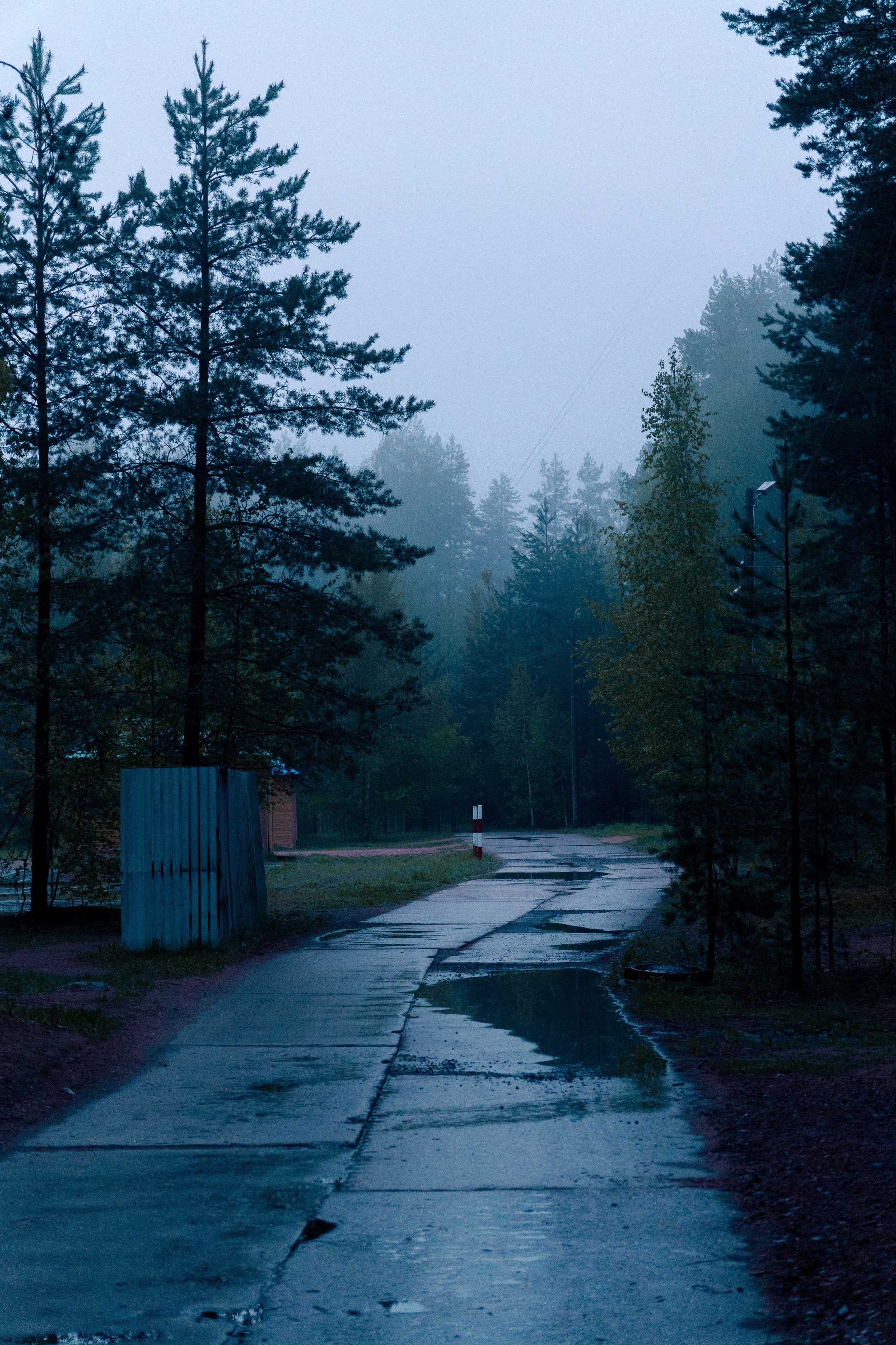 Природа. Фотограф в Санкт-Петербурге Ибрагимова Алина