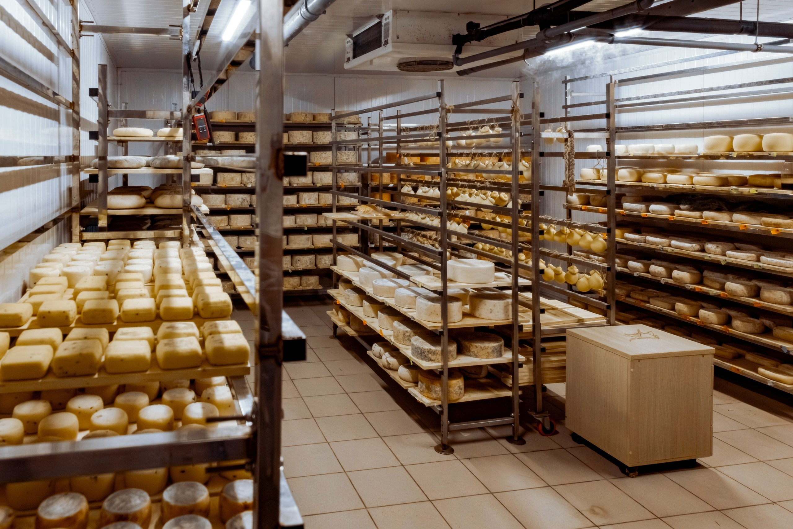 Экскурсия и дегустация. Частная сыроварня FROMAGELLE (г. Саратов). Фотограф_Петербург