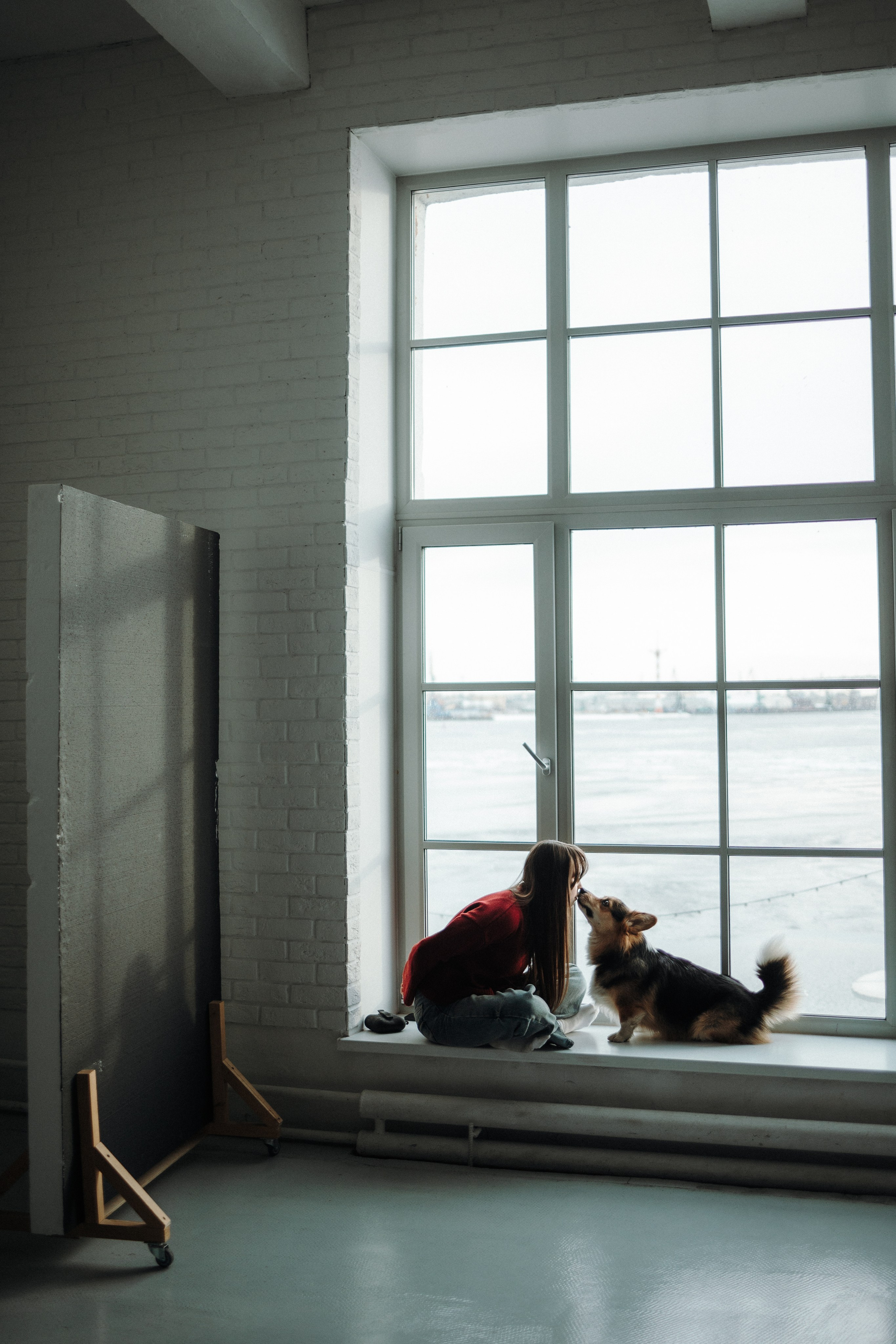 Настя и Коржик. Фотограф — Анималист | Санкт-Петербург