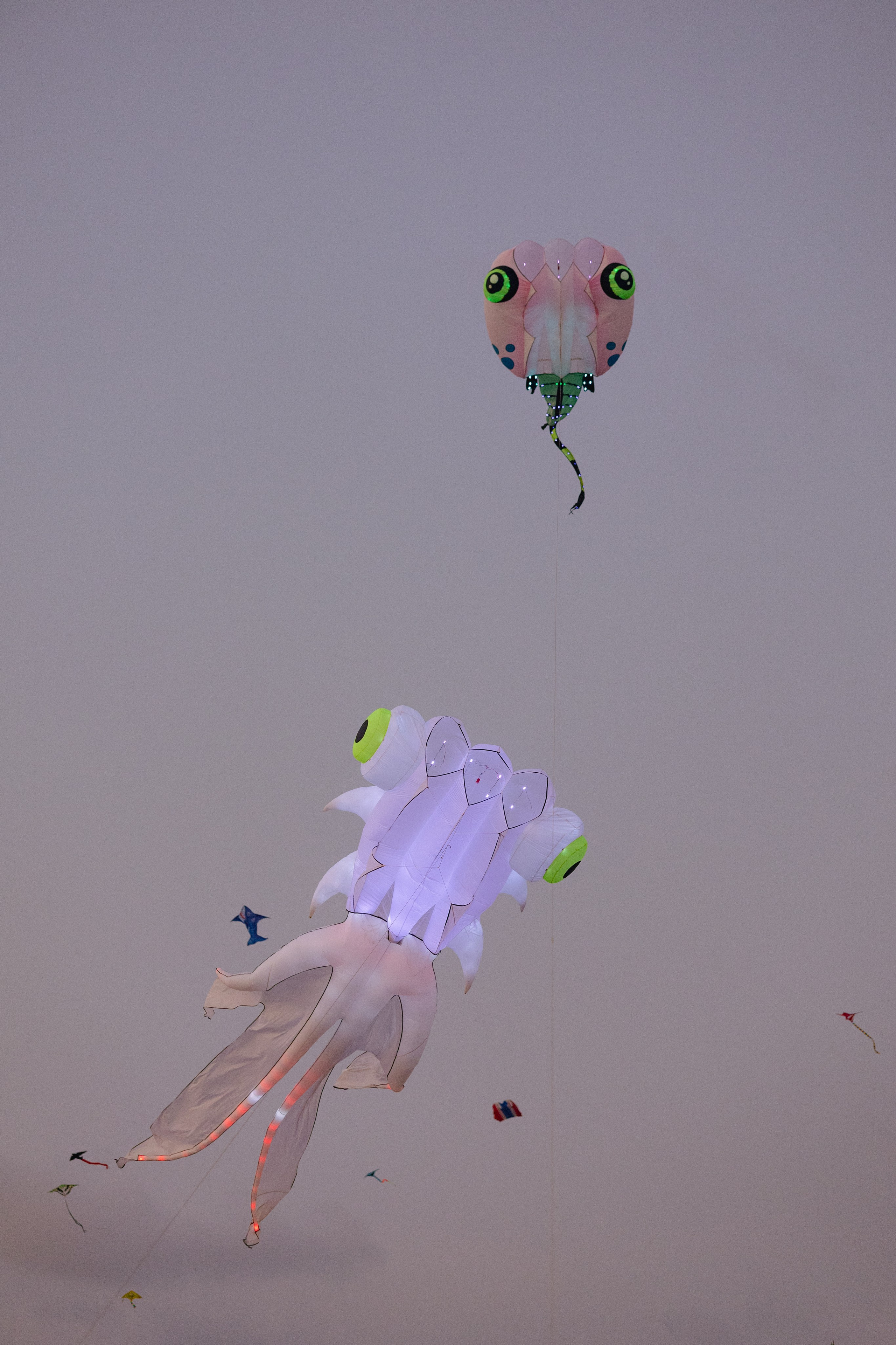 PATTAYA INTERNATIONAL KITE ON THE BEACH 2024. Photographer Sonkina Tatiana (Tanya Ash)