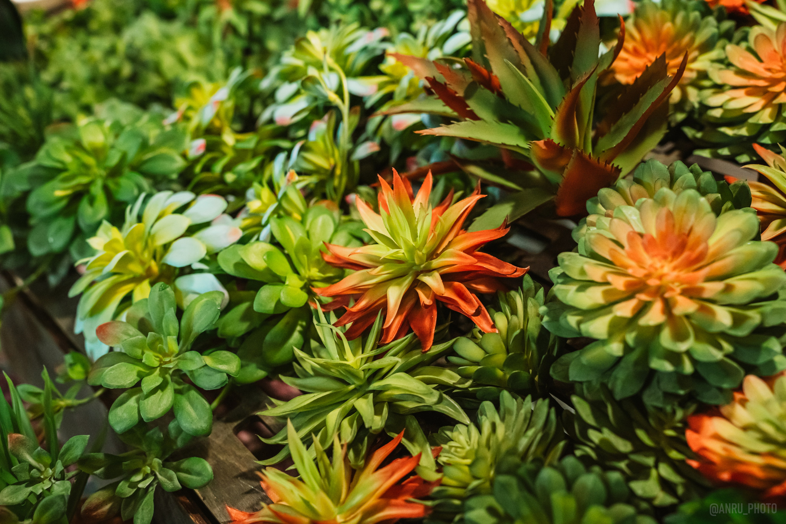 Рептилиум. Репортажный фотограф Анастасия Рубцова