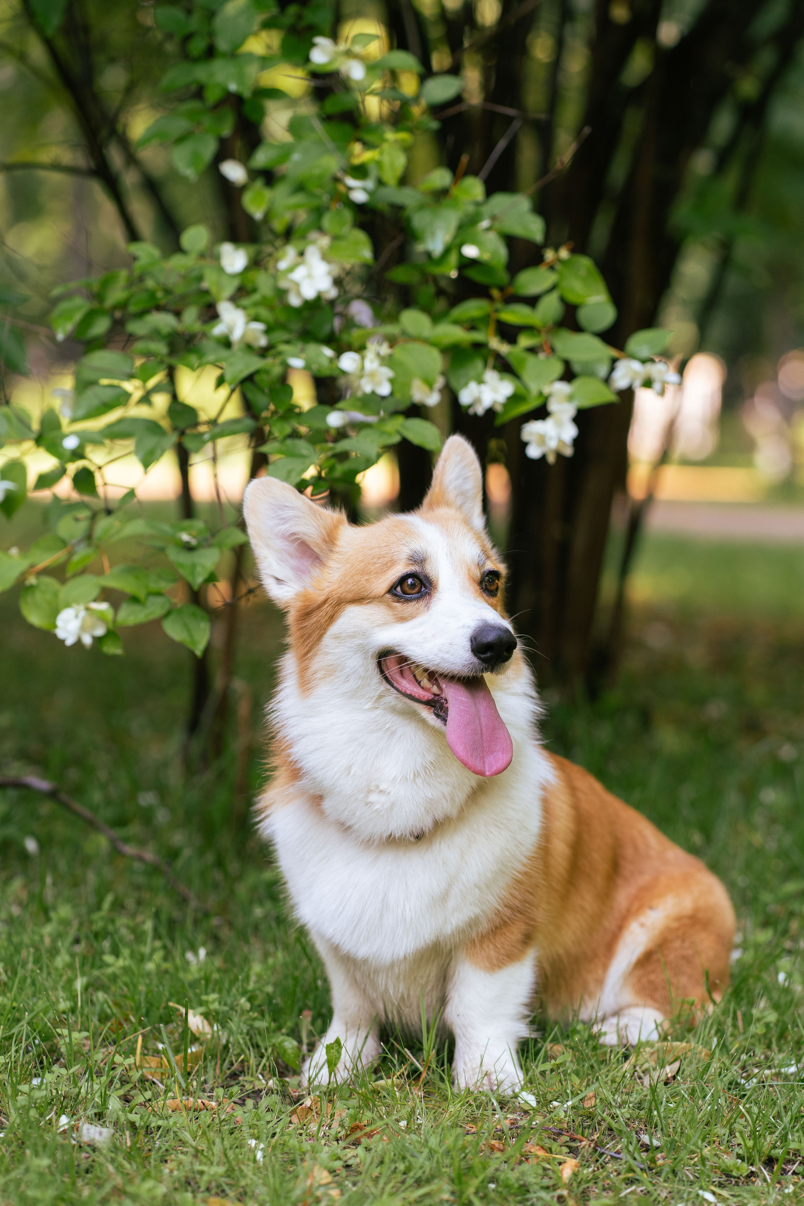 Ольга и коржики. Свадебный фотограф в Москве Анна Полушина