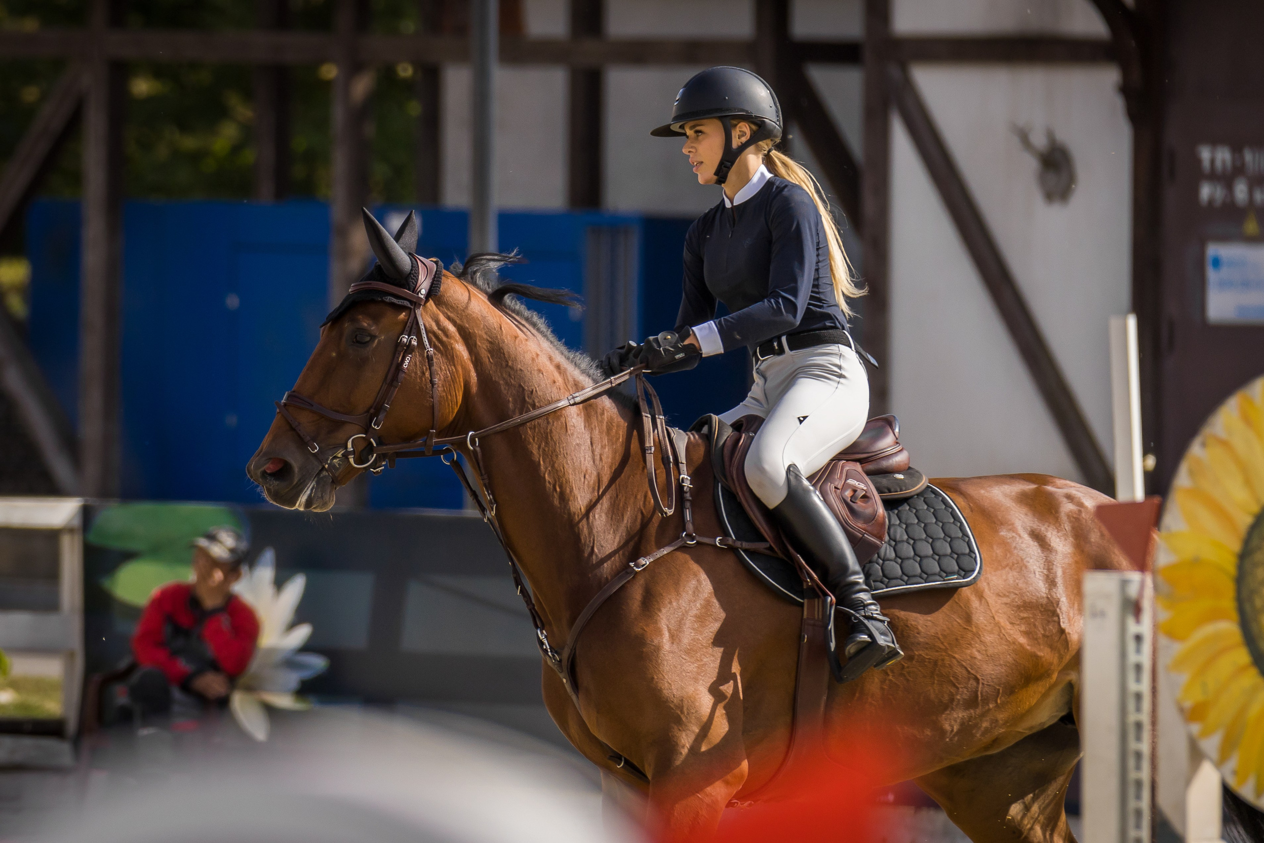 Конный спорт. Photomantis